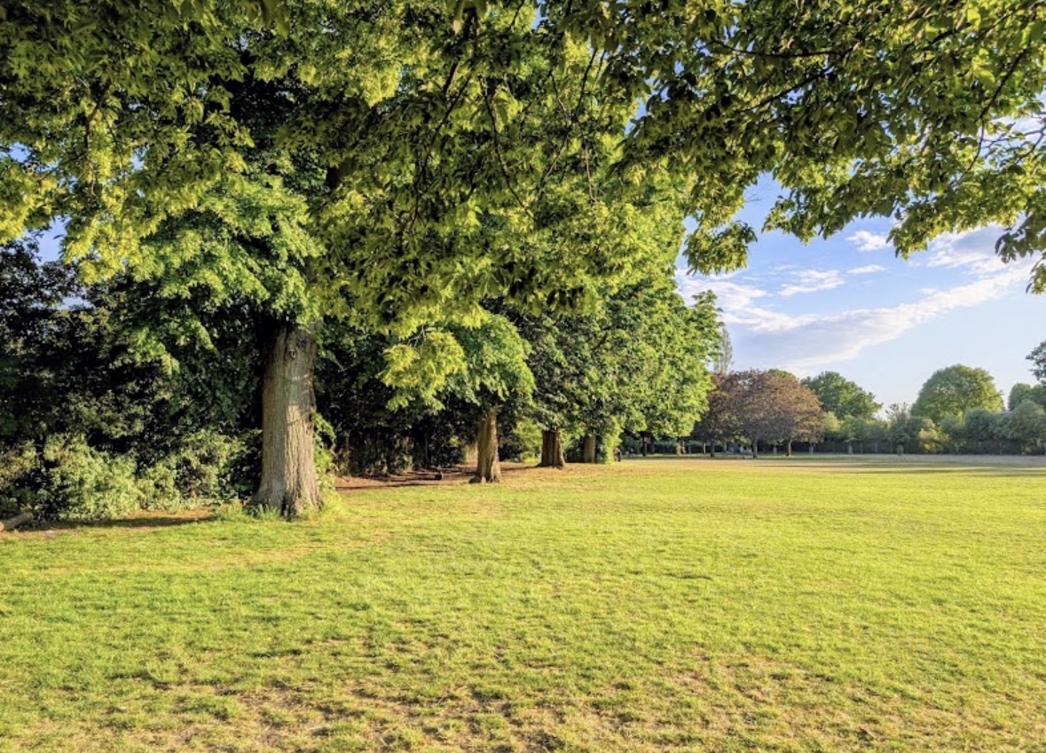 image-13