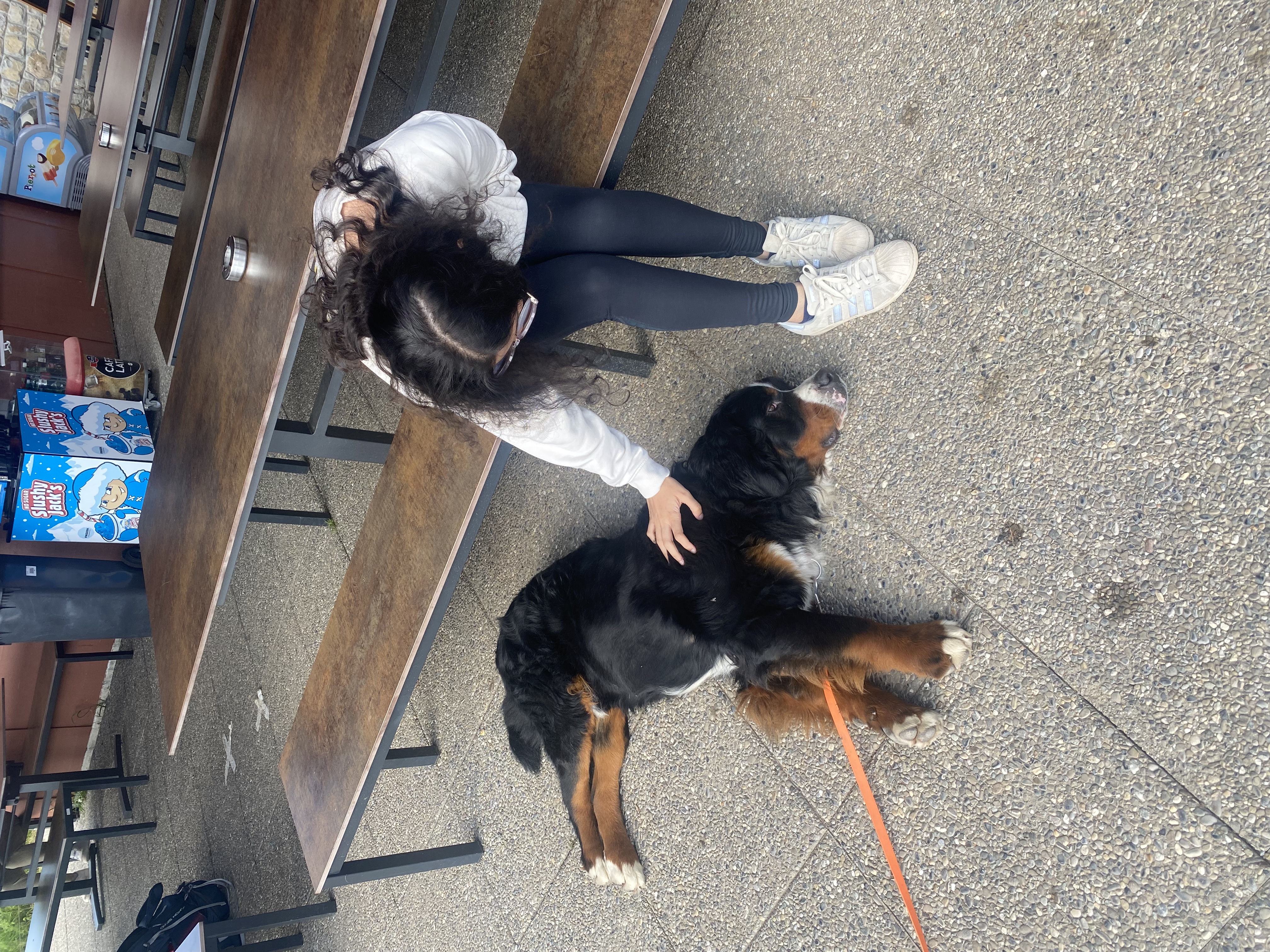 image-7