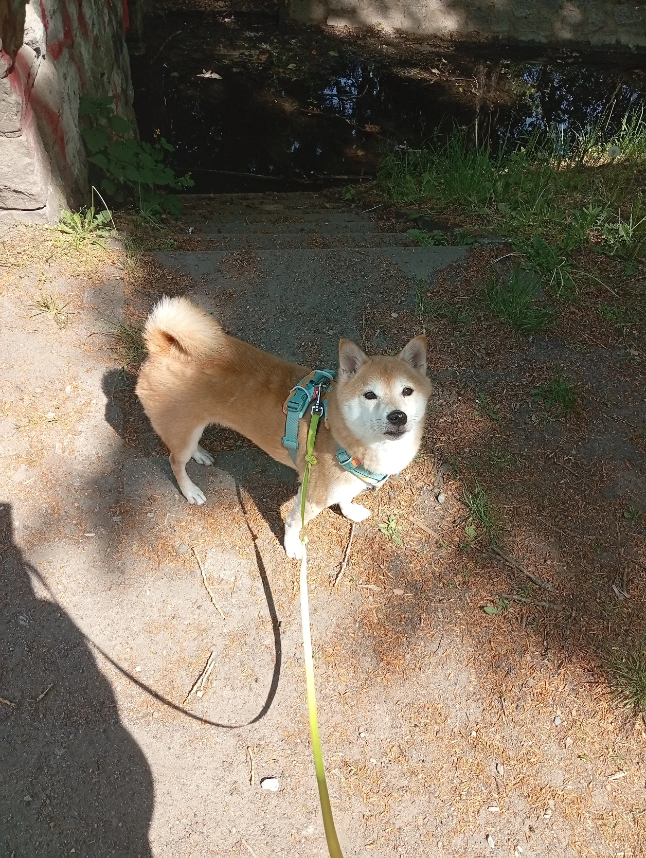 image-5