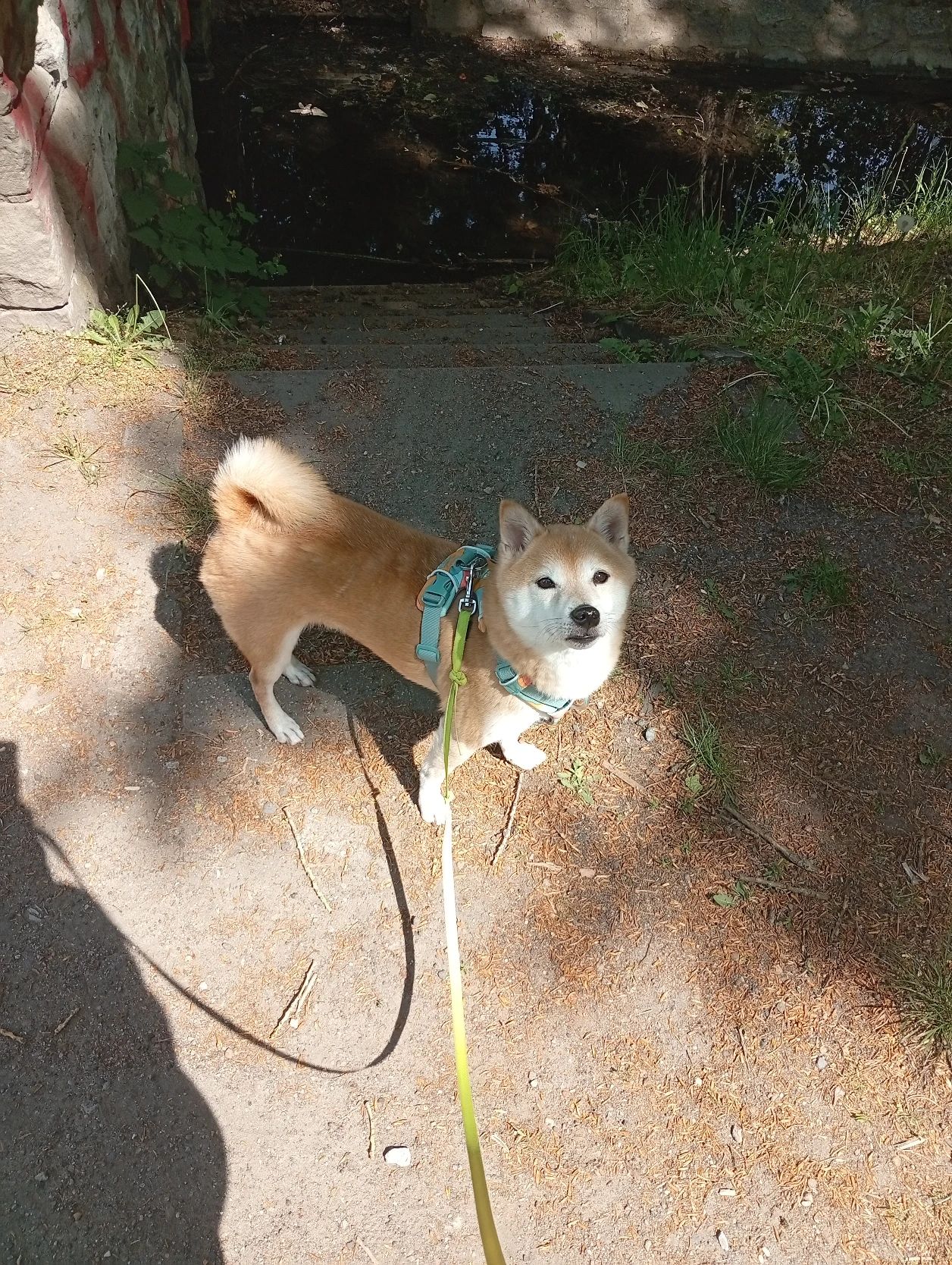 image-5