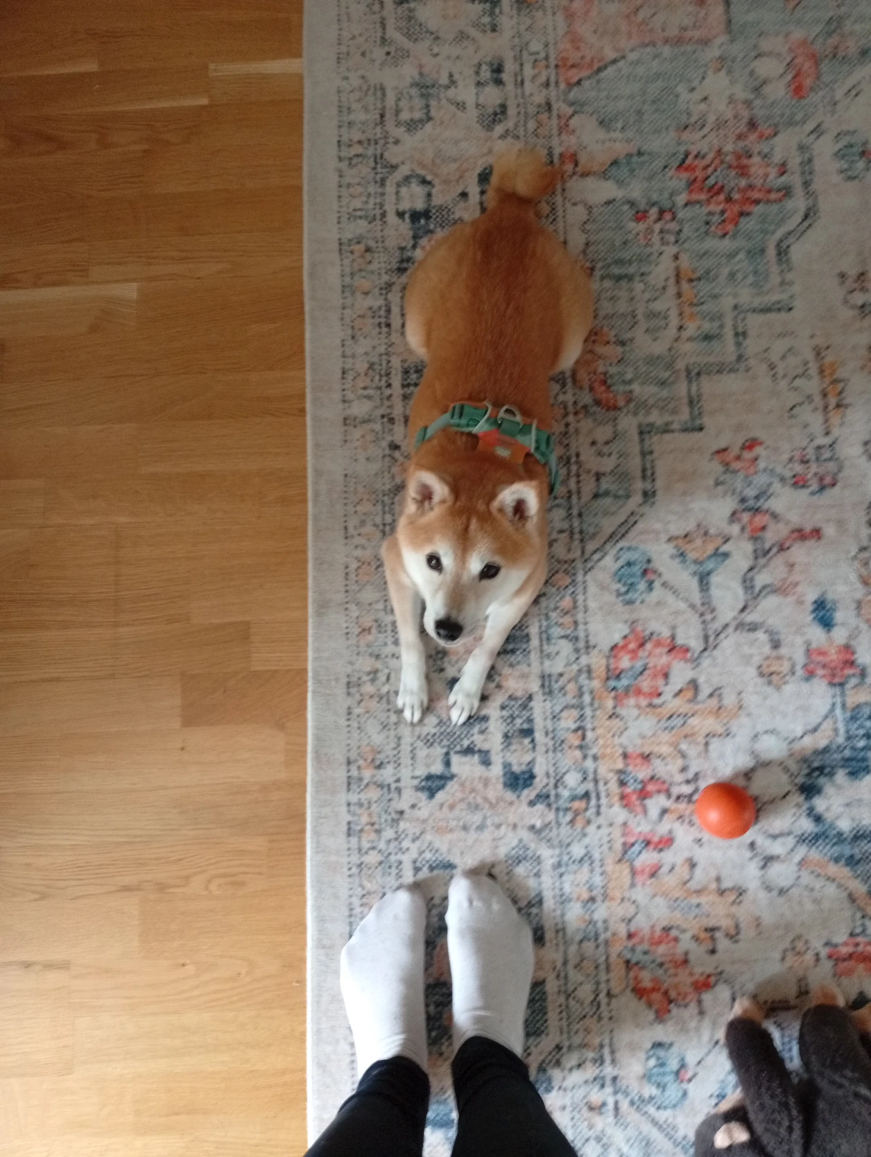 image-10