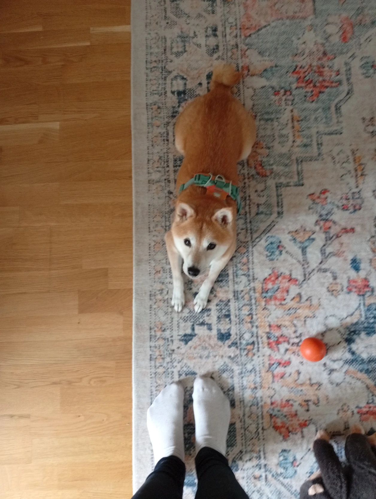 image-10