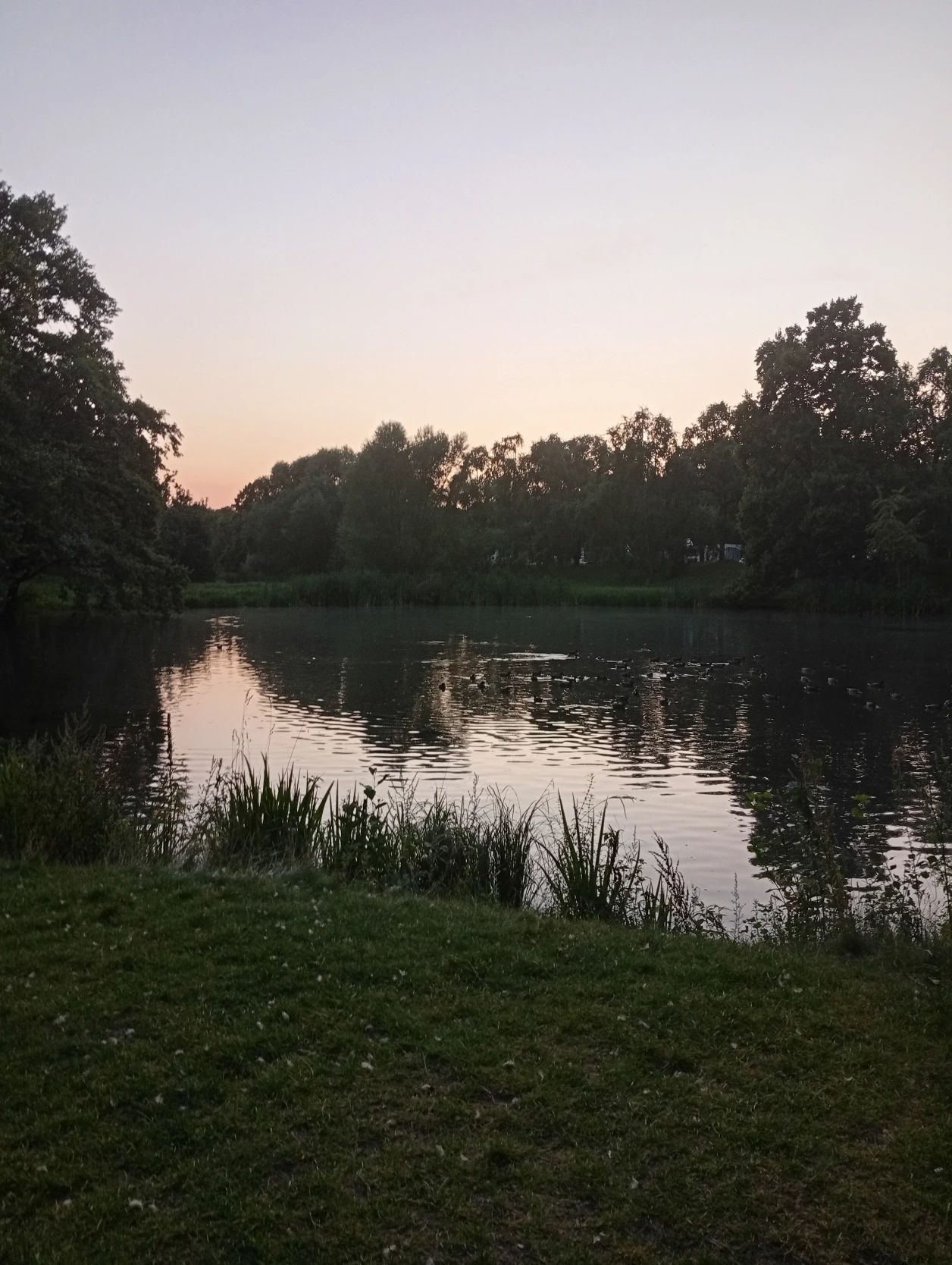 image-18