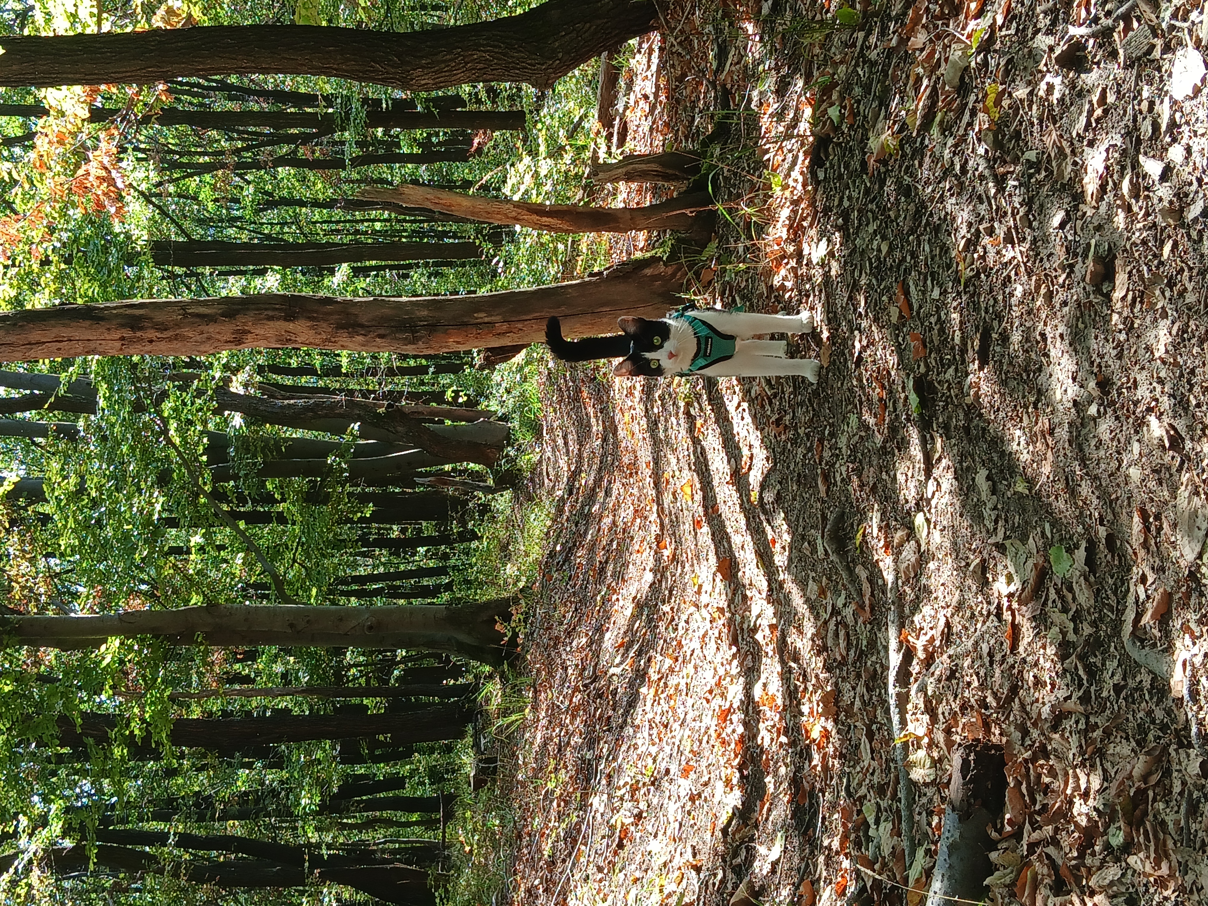 image-9