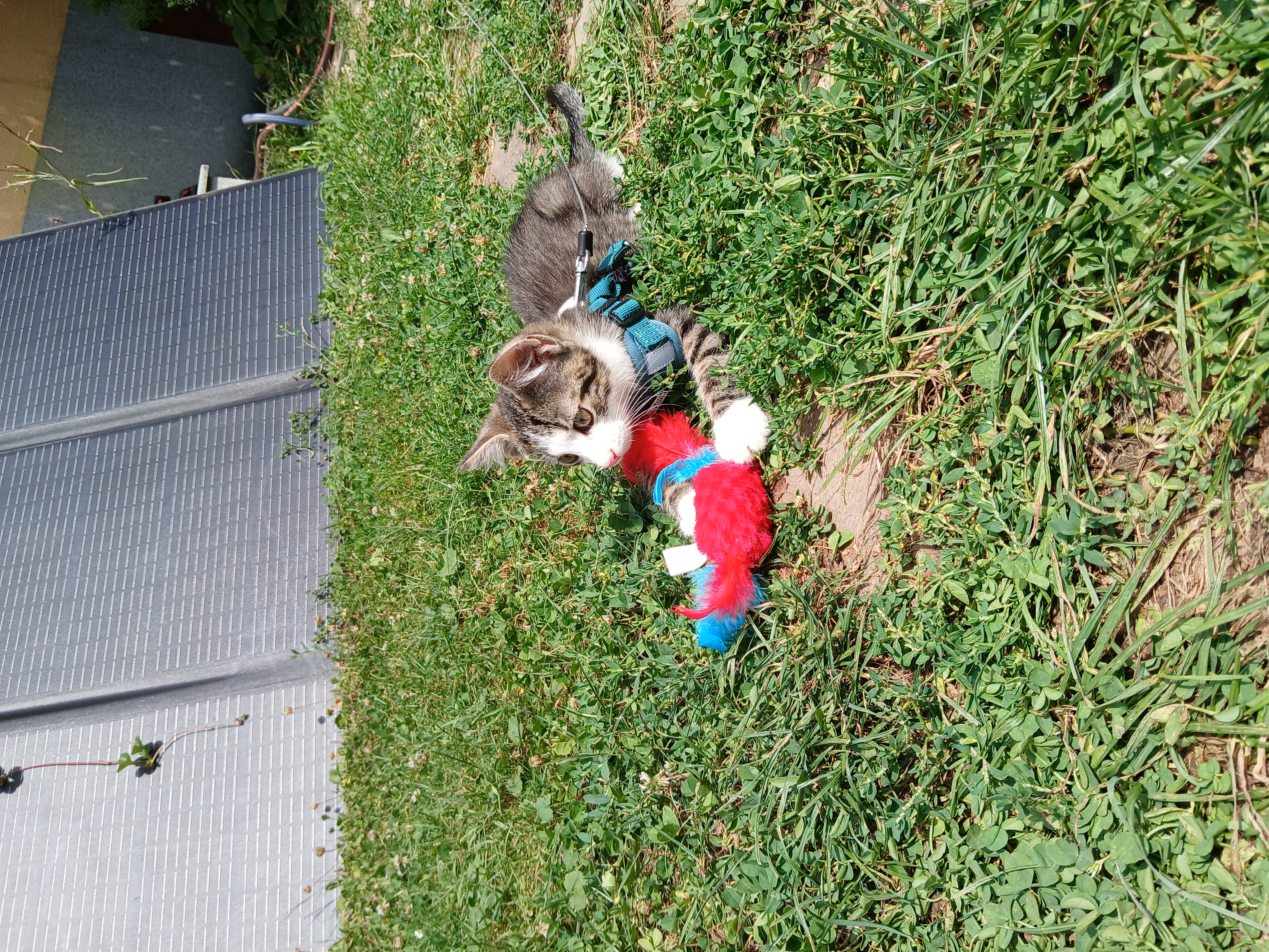 image-11