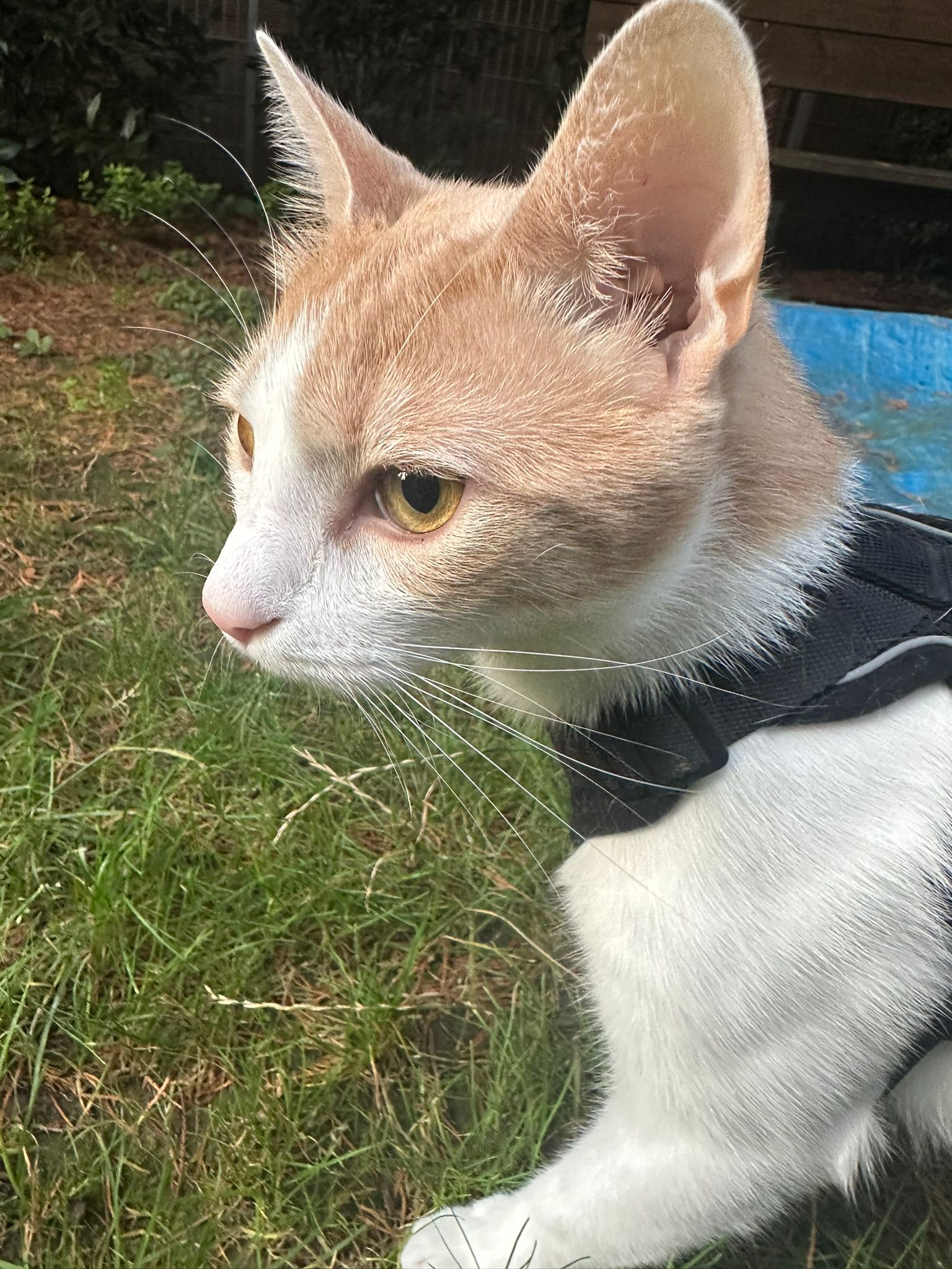 image-6