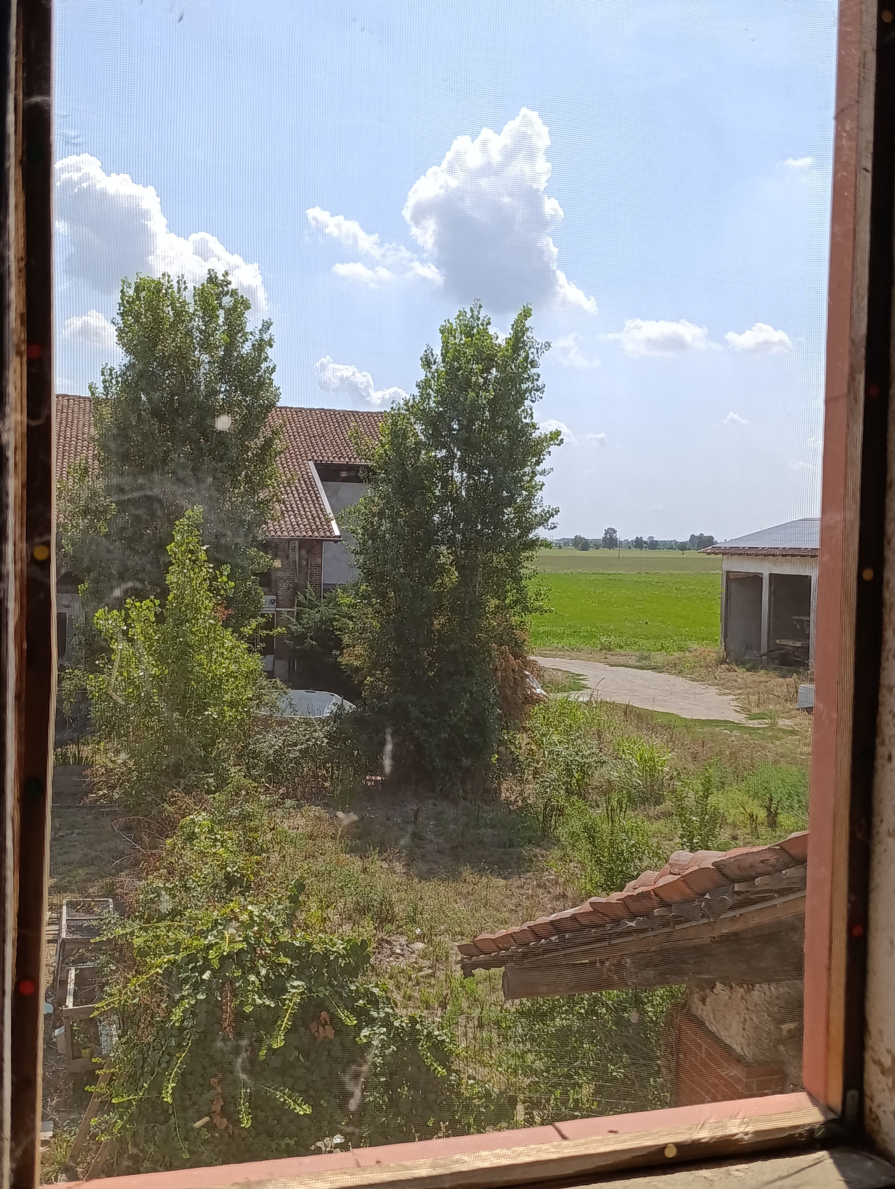 image-23