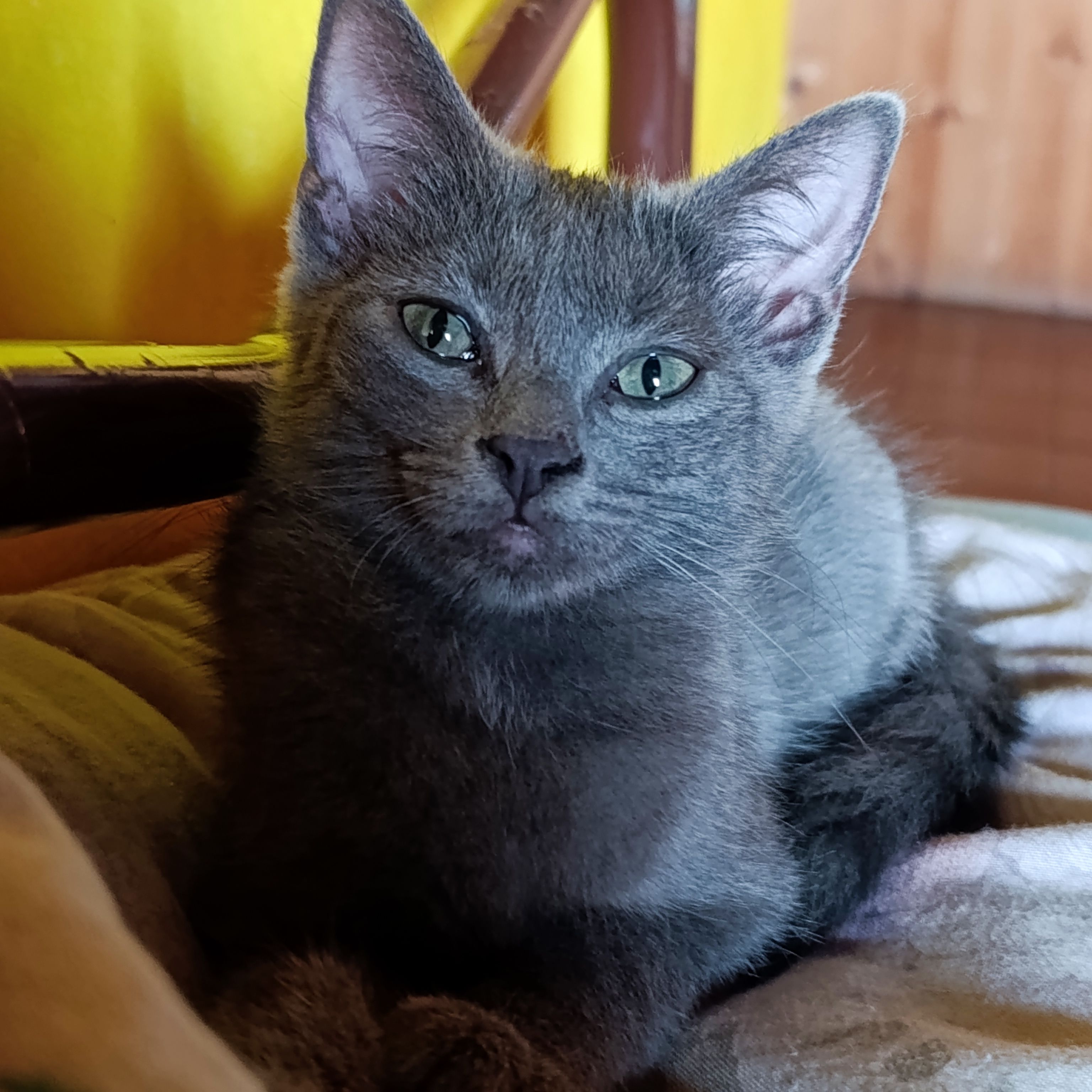 Zoe