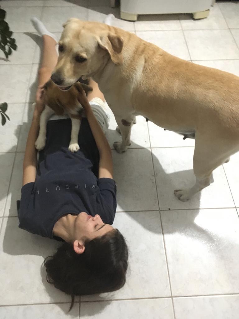 image-7