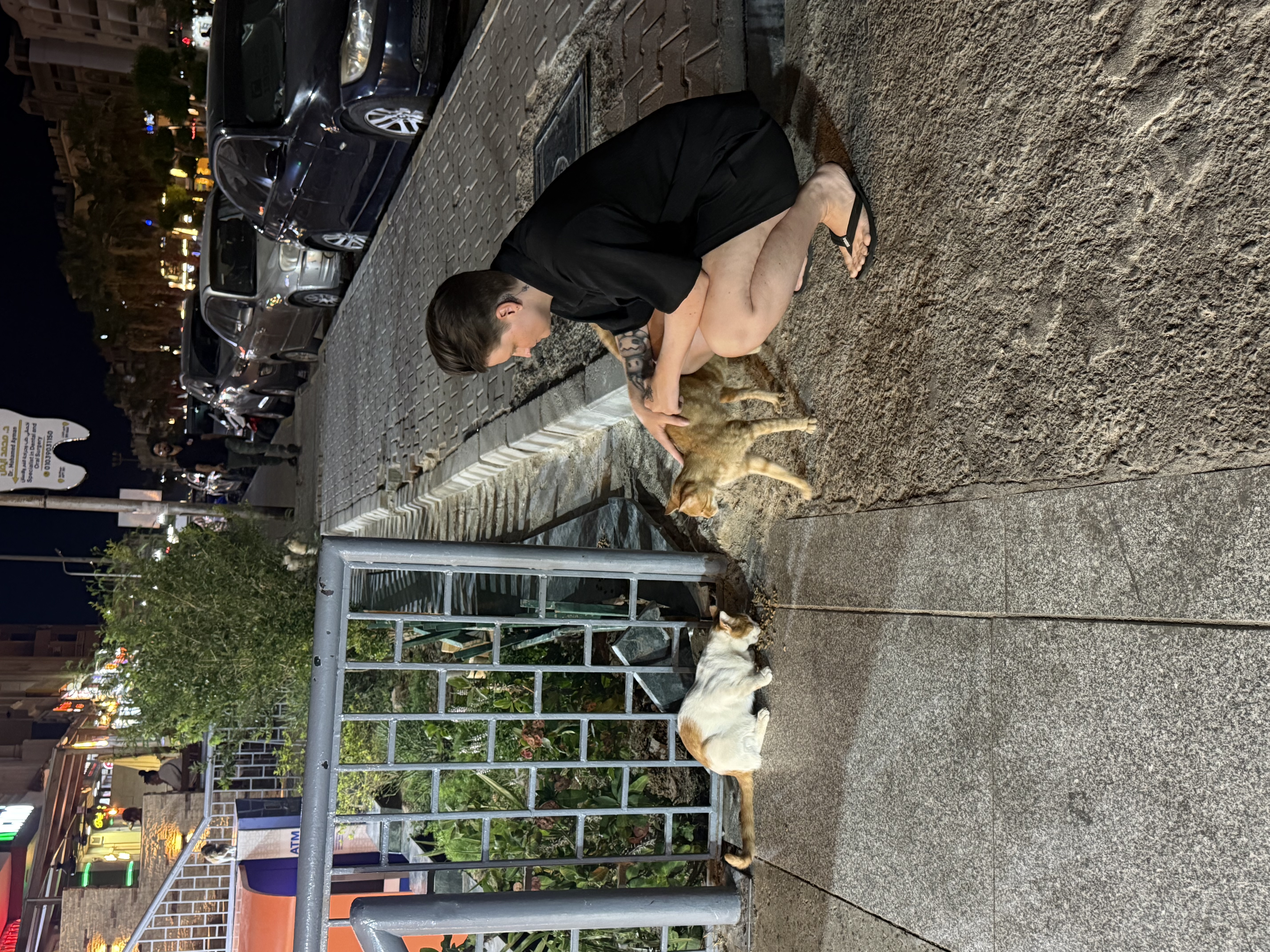 image-3