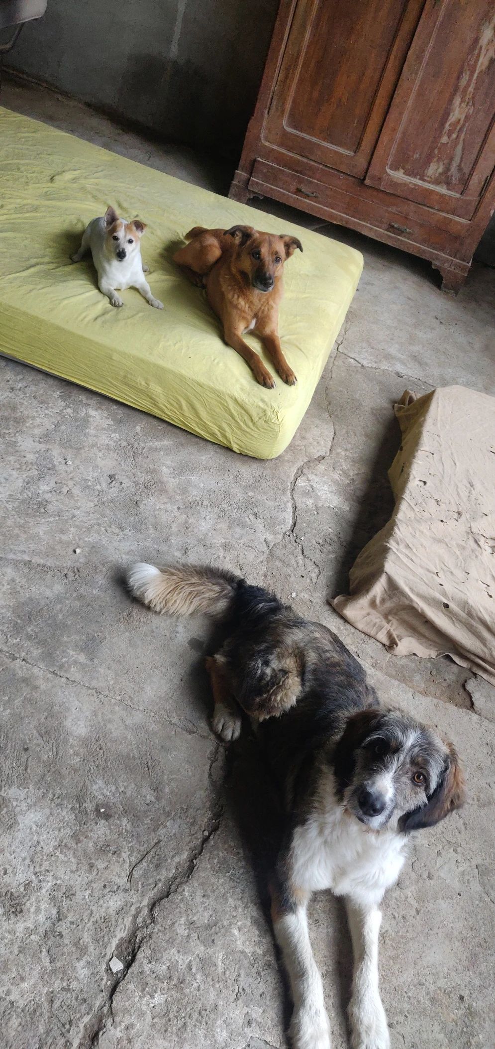 image-18