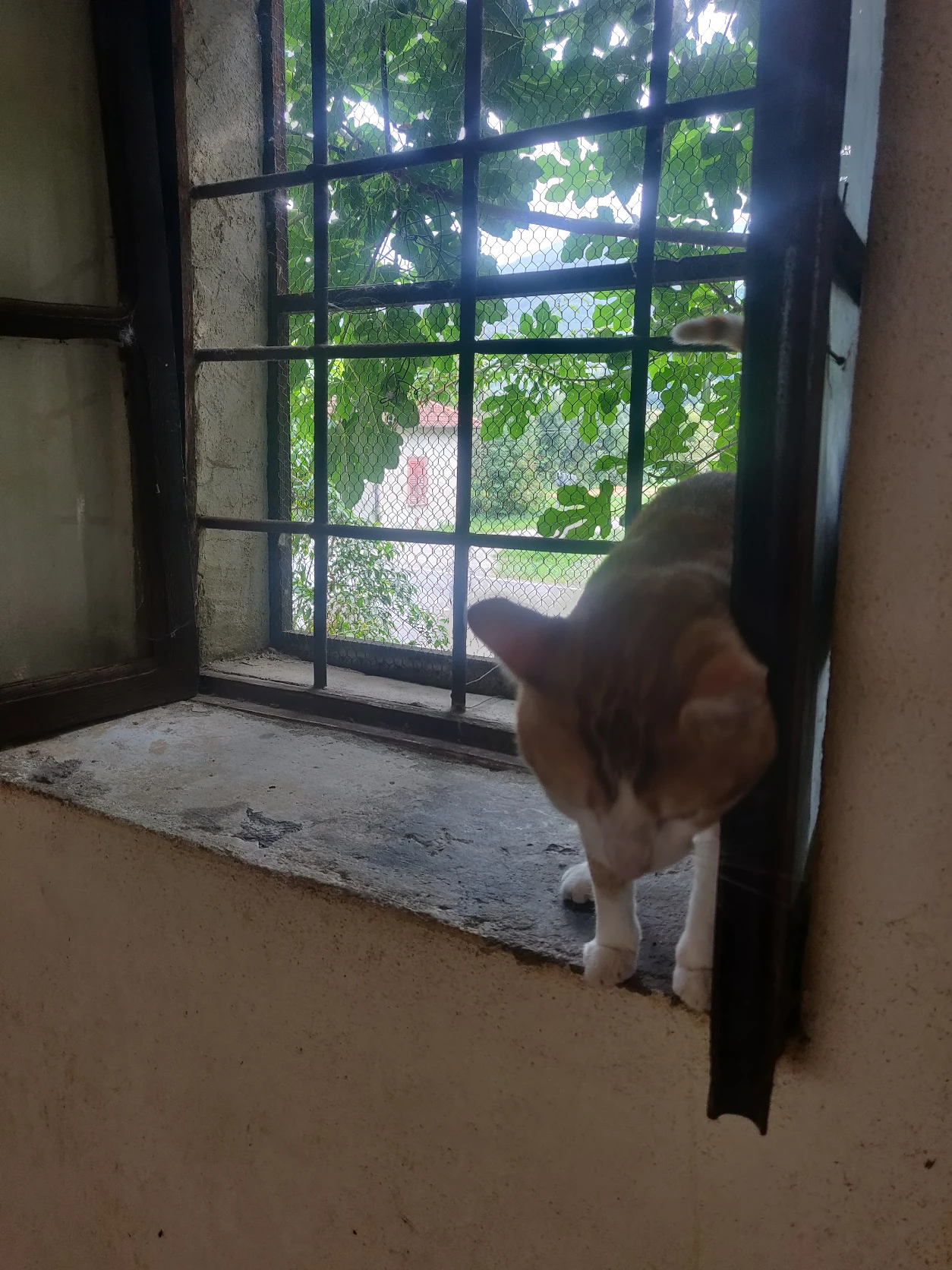 image-16
