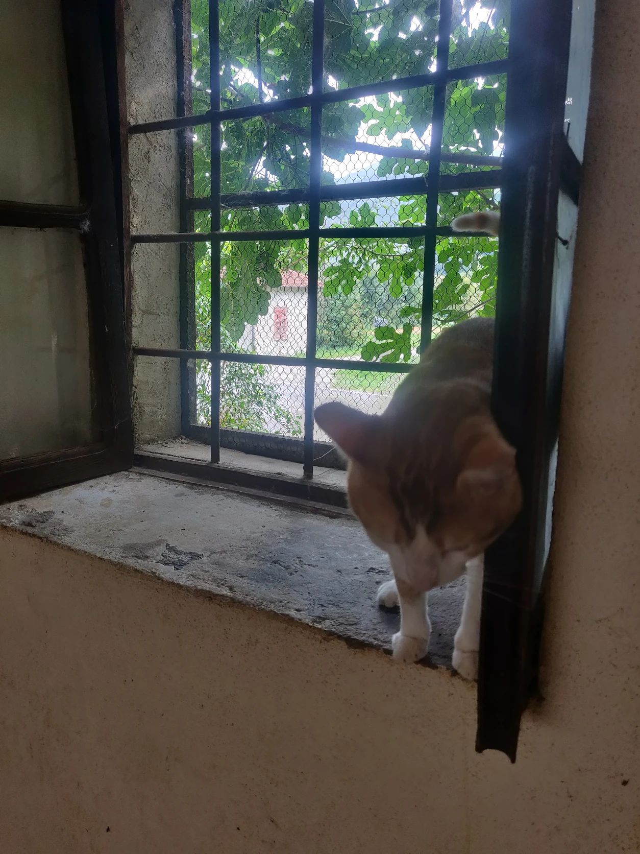 image-16