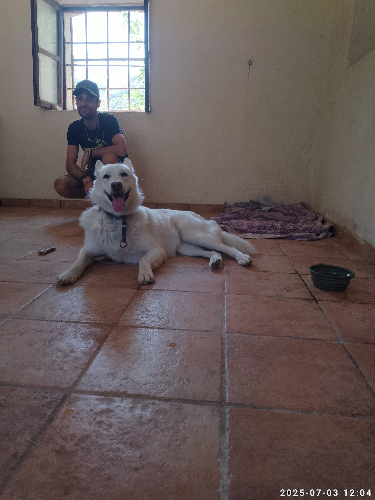 image-22
