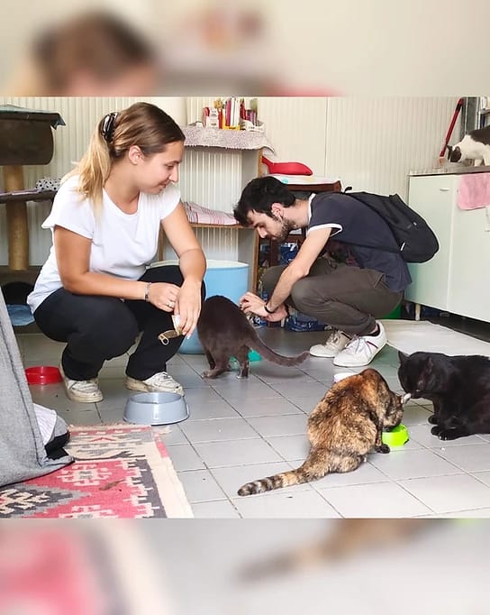 image-0
