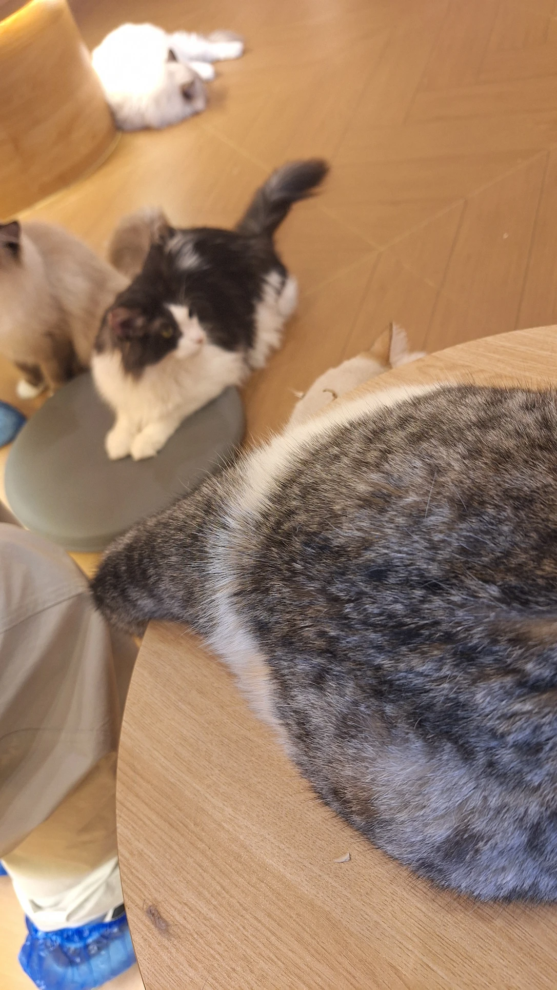 image-8