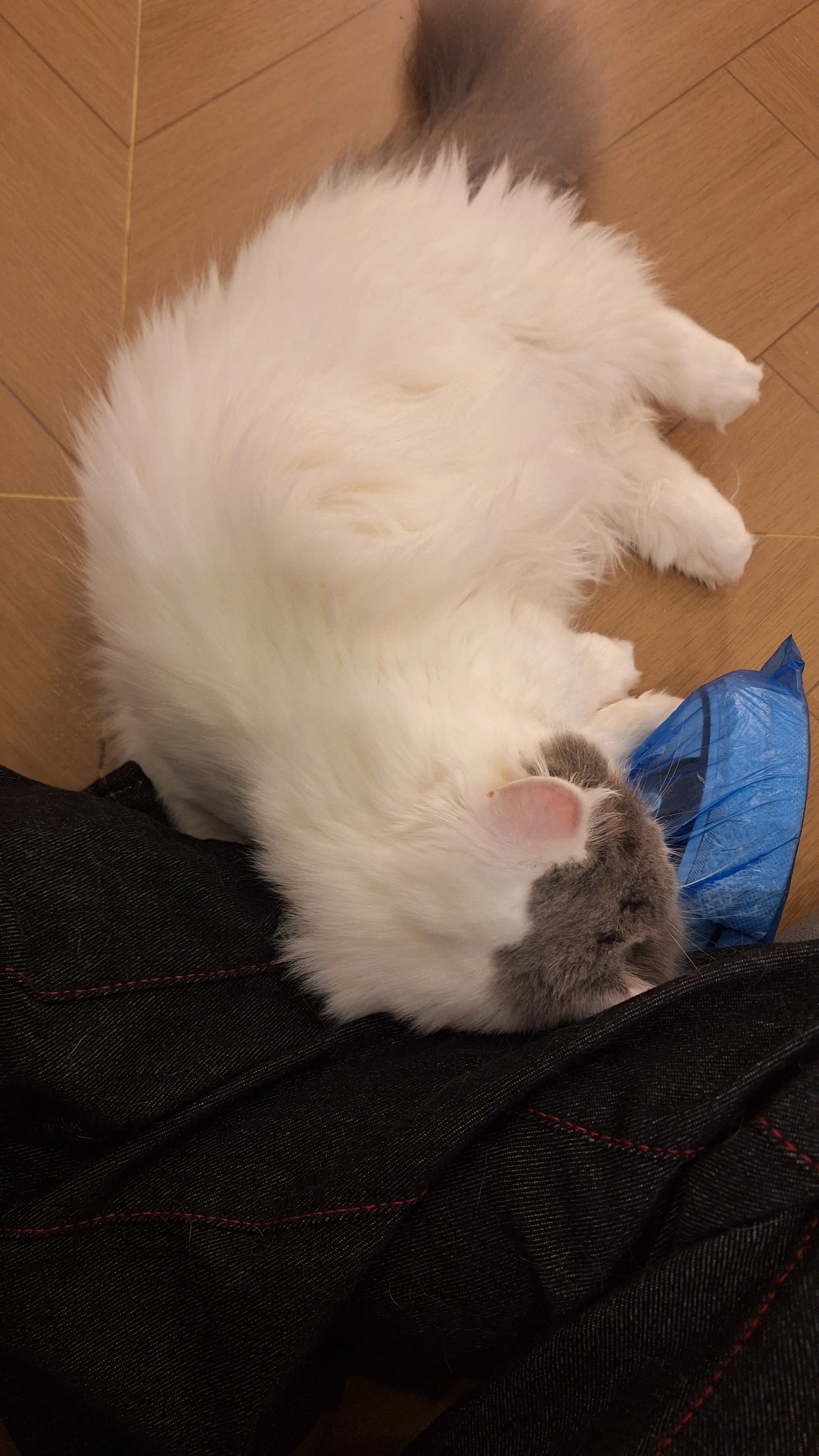 image-10