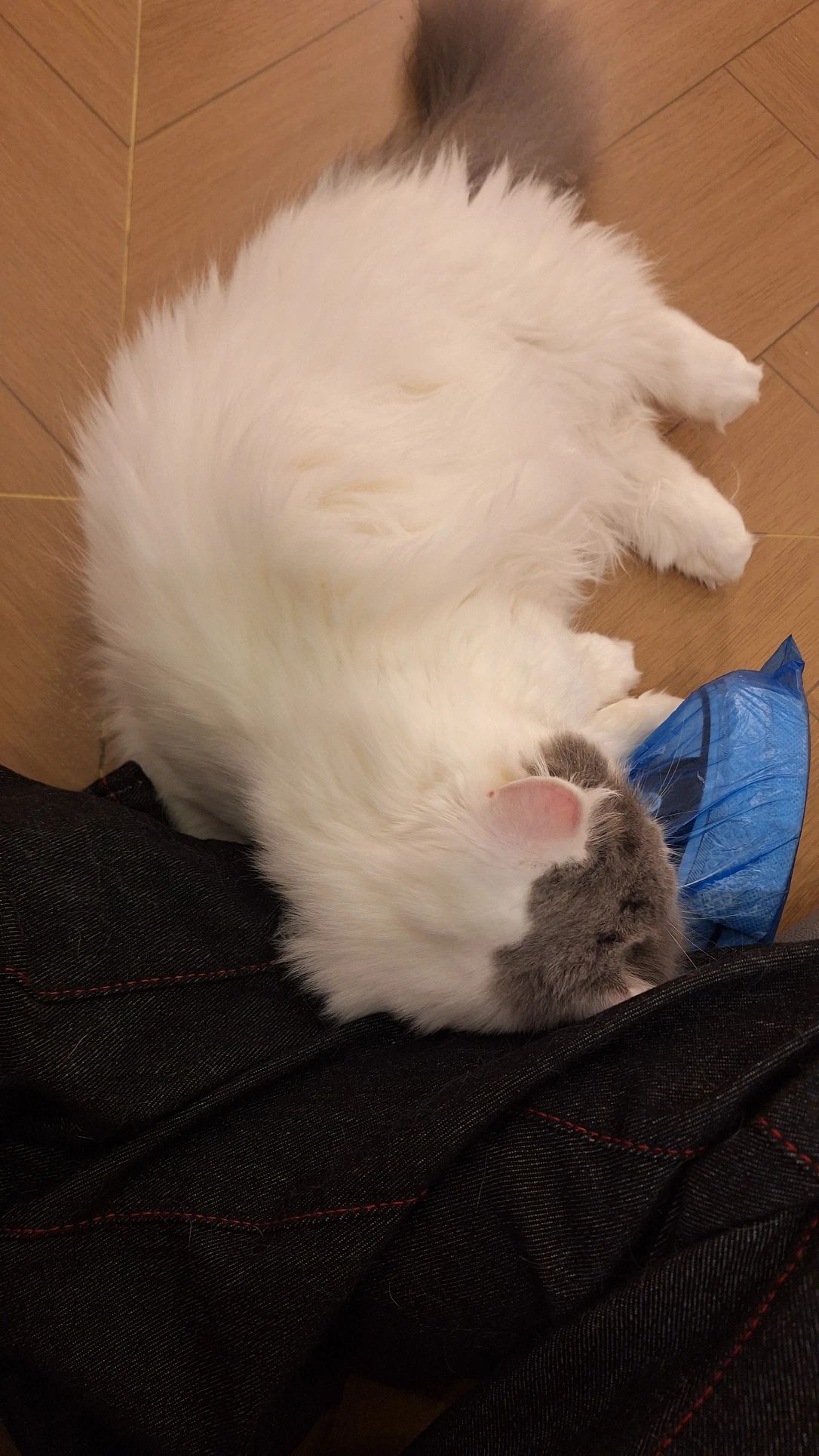 image-10