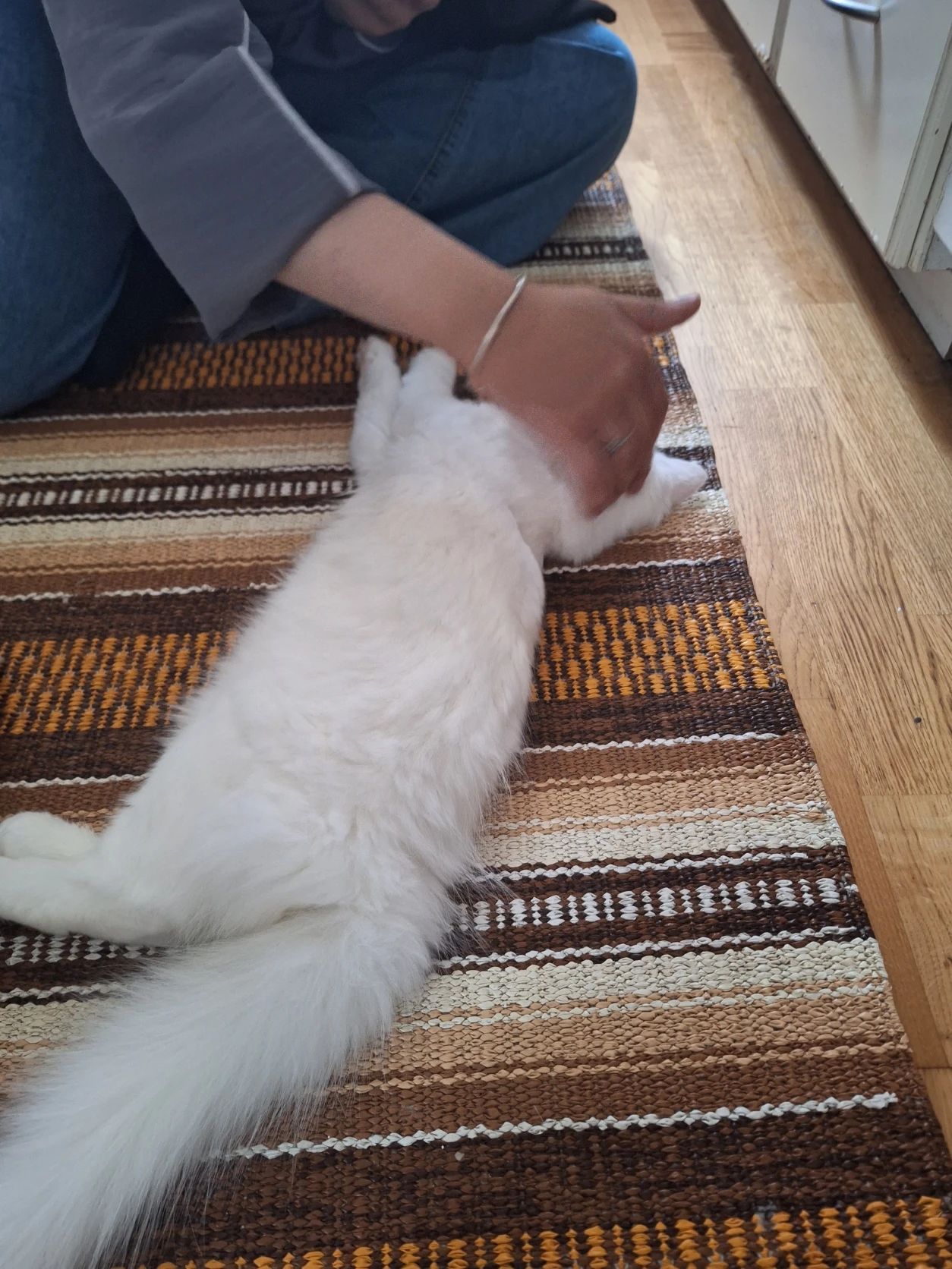 image-7