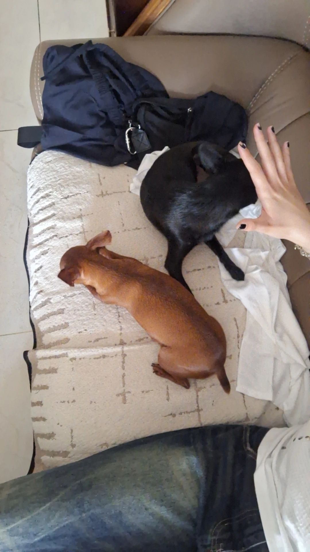 image-3