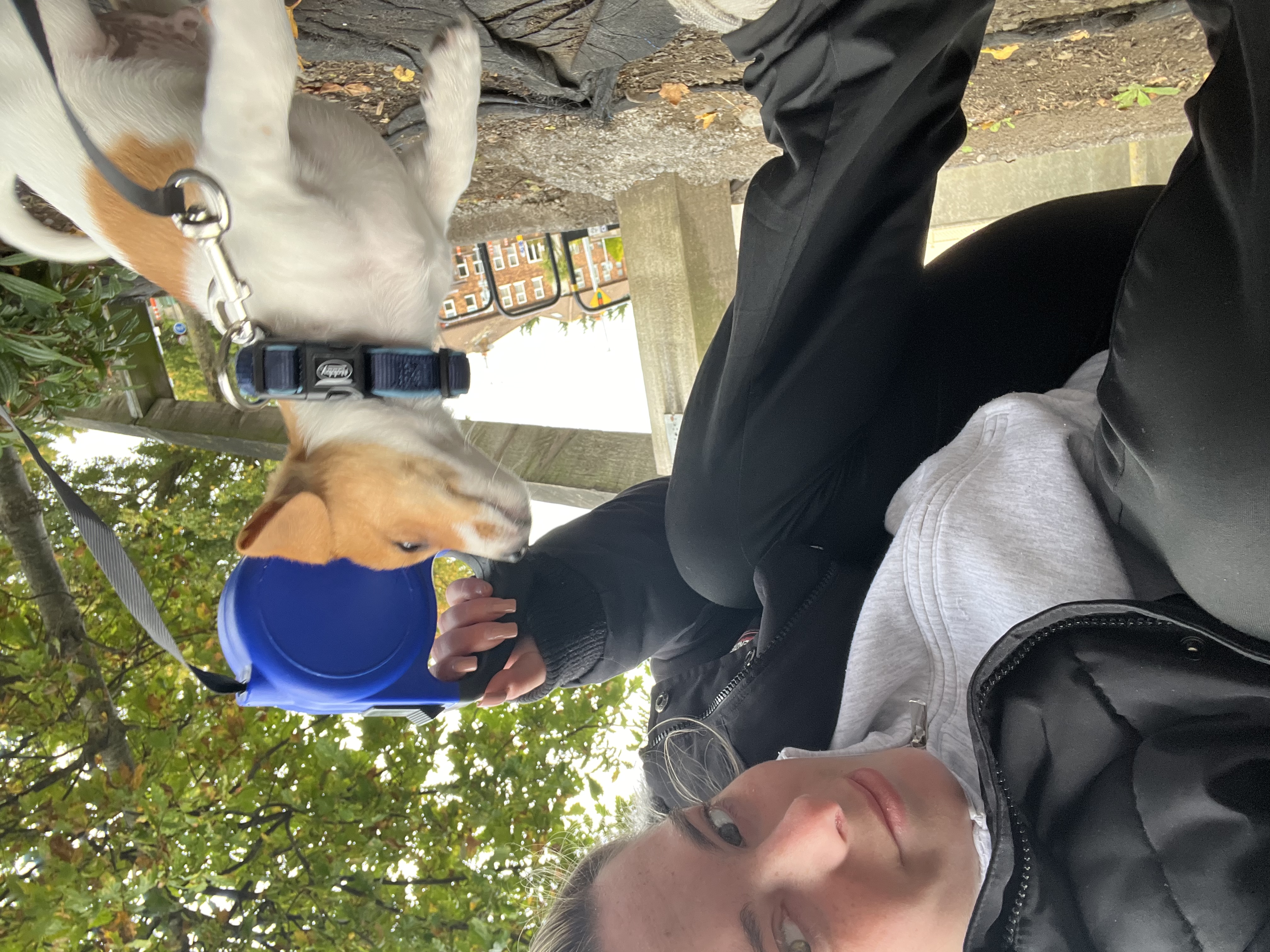 image-8
