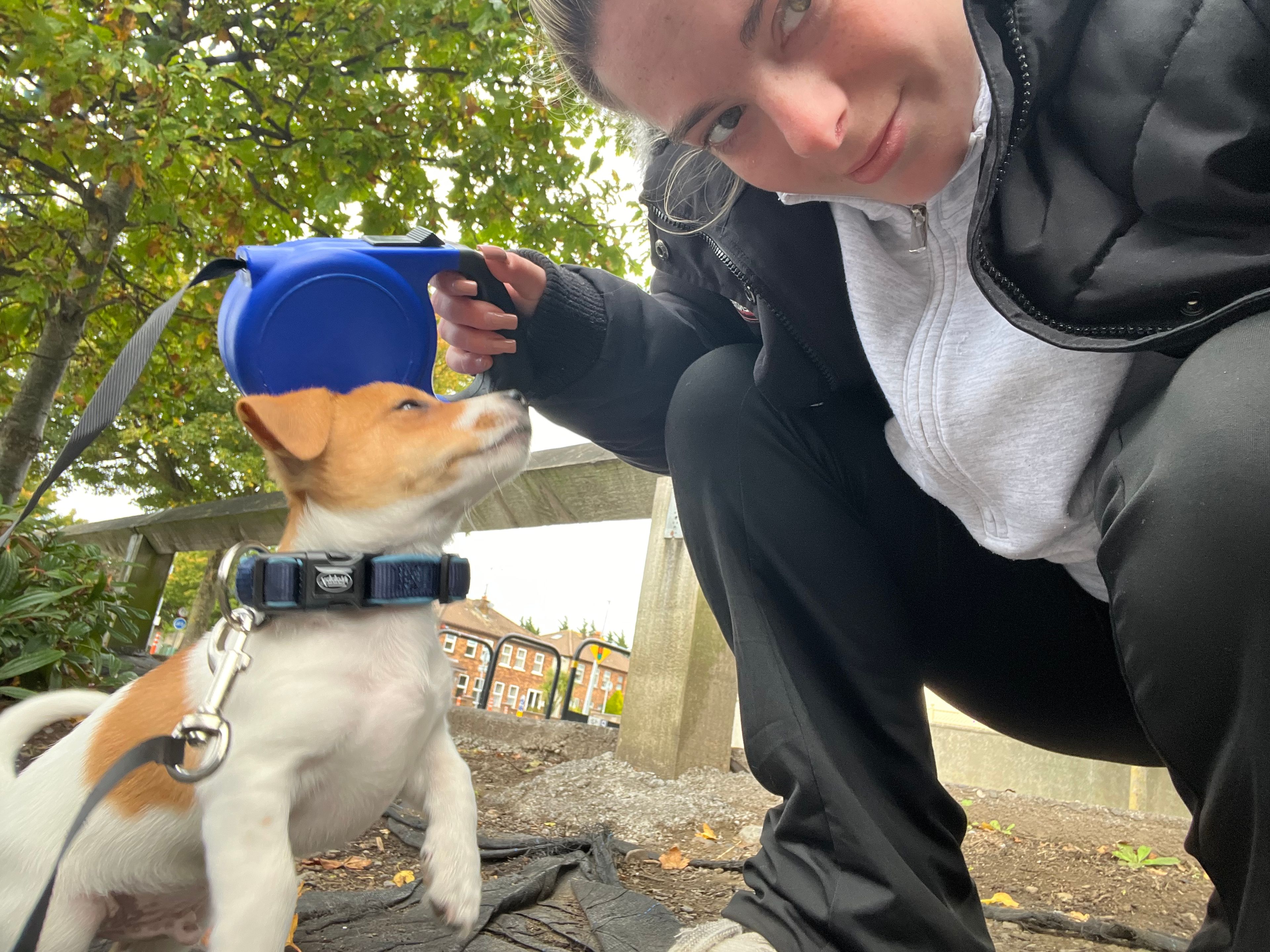image-8