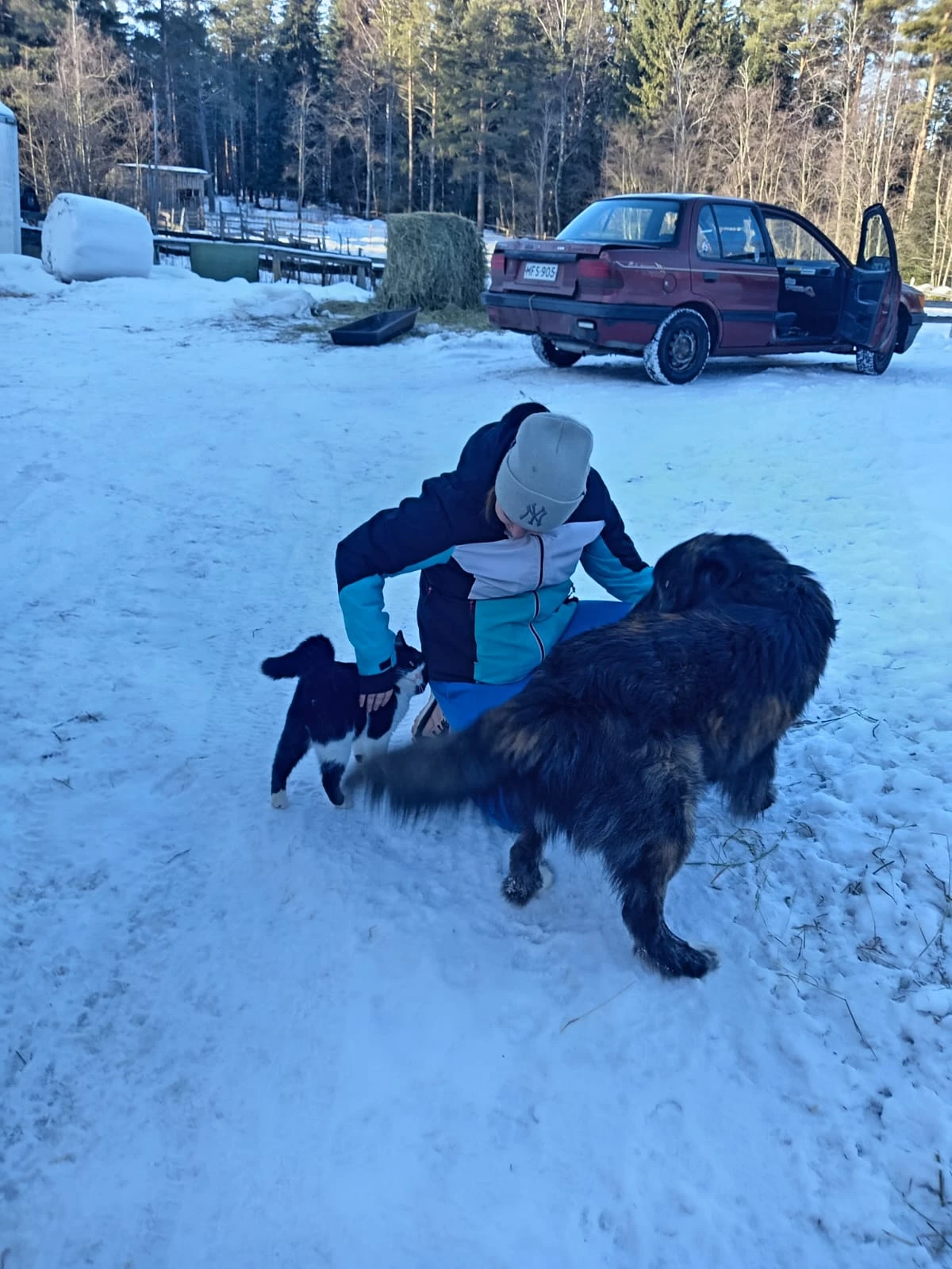 image-8