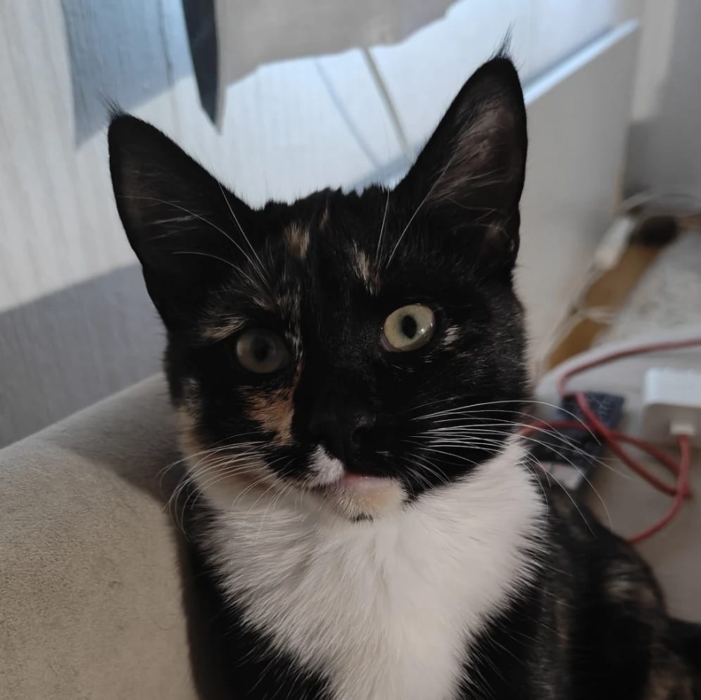 Kiti