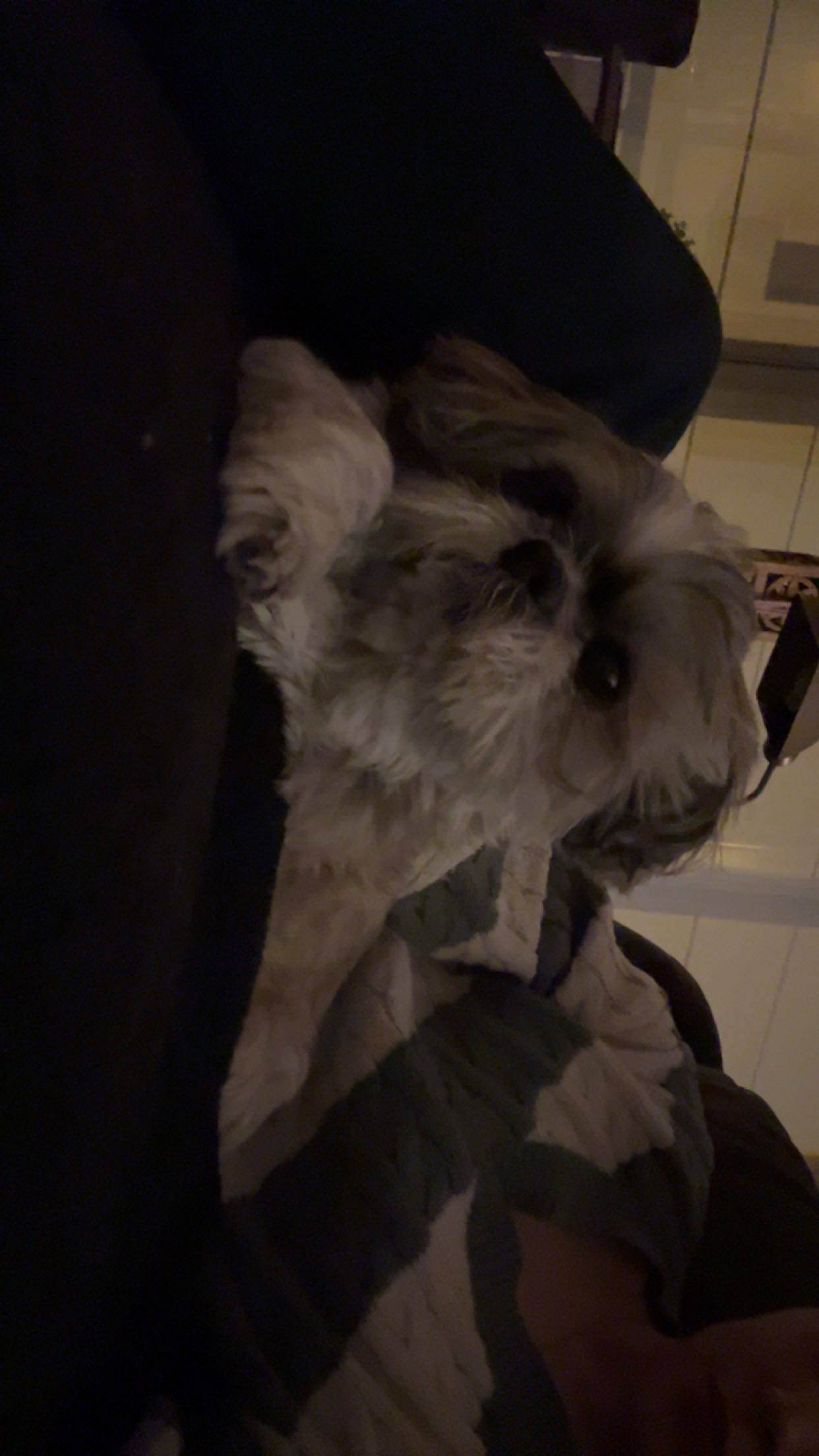 image-10