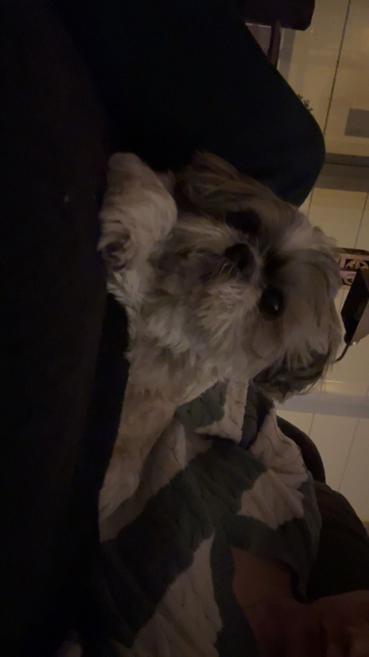 image-10