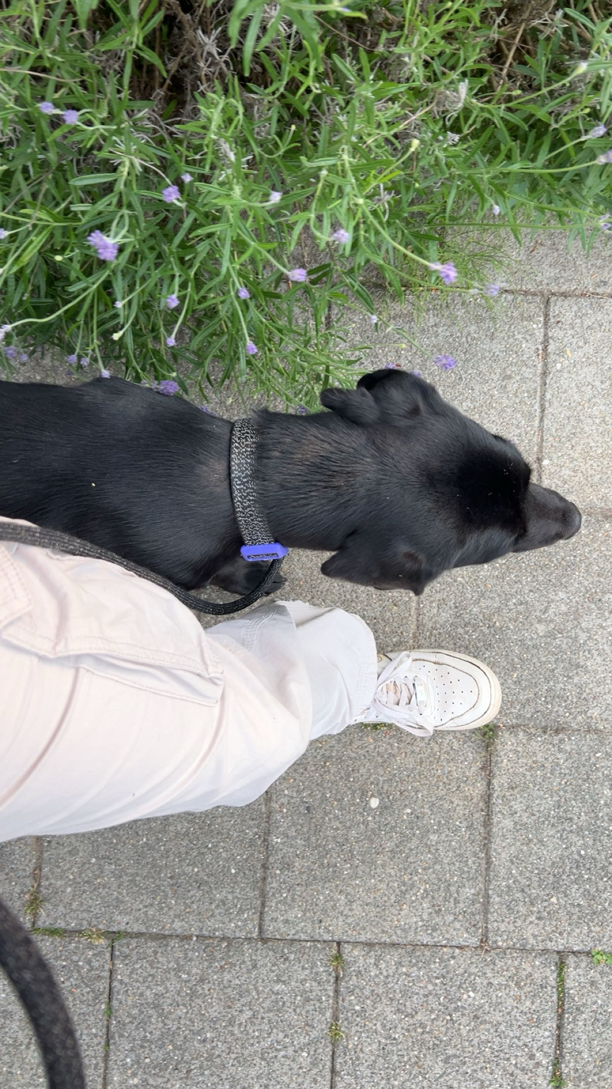 image-16