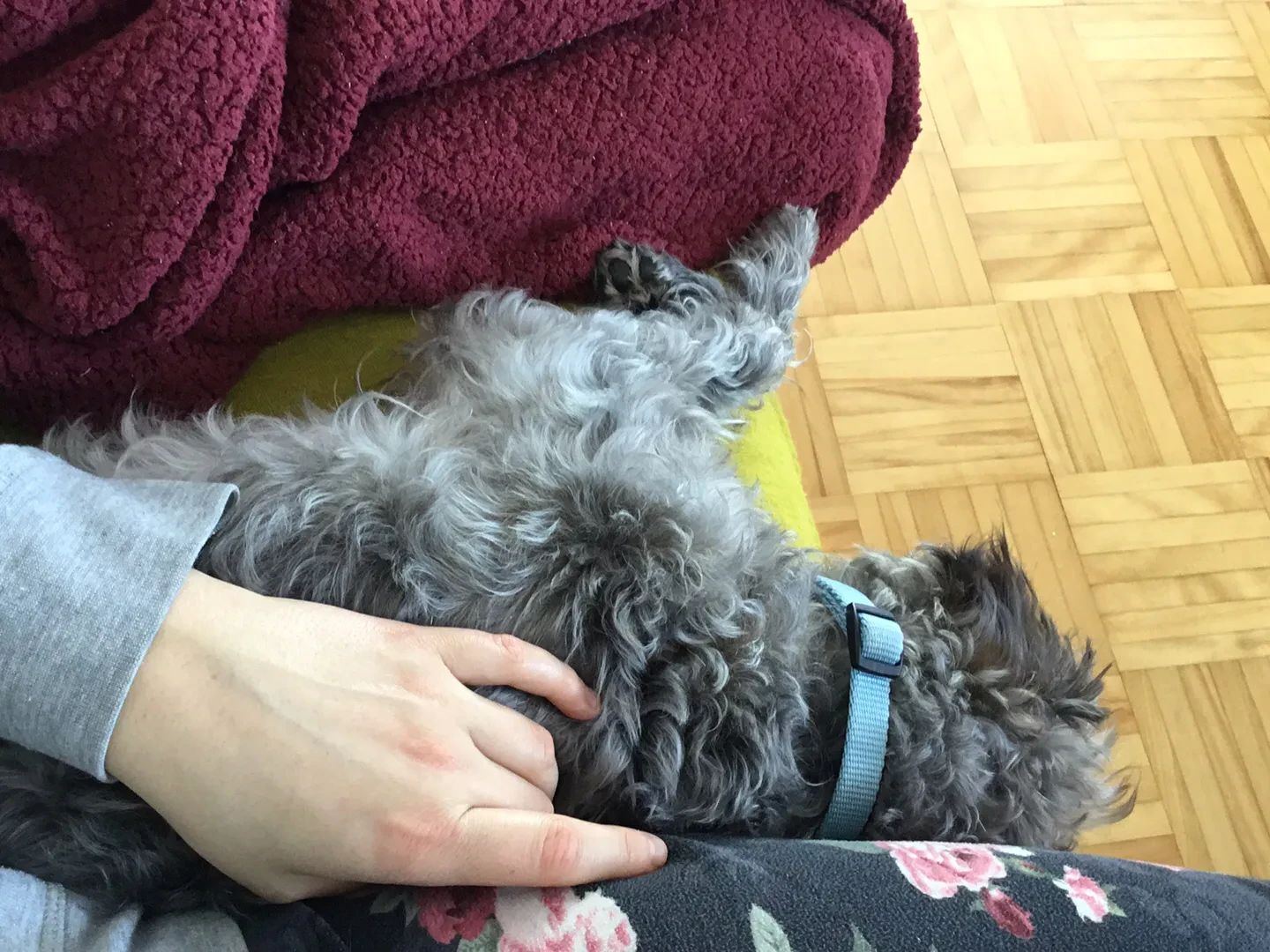 image-8