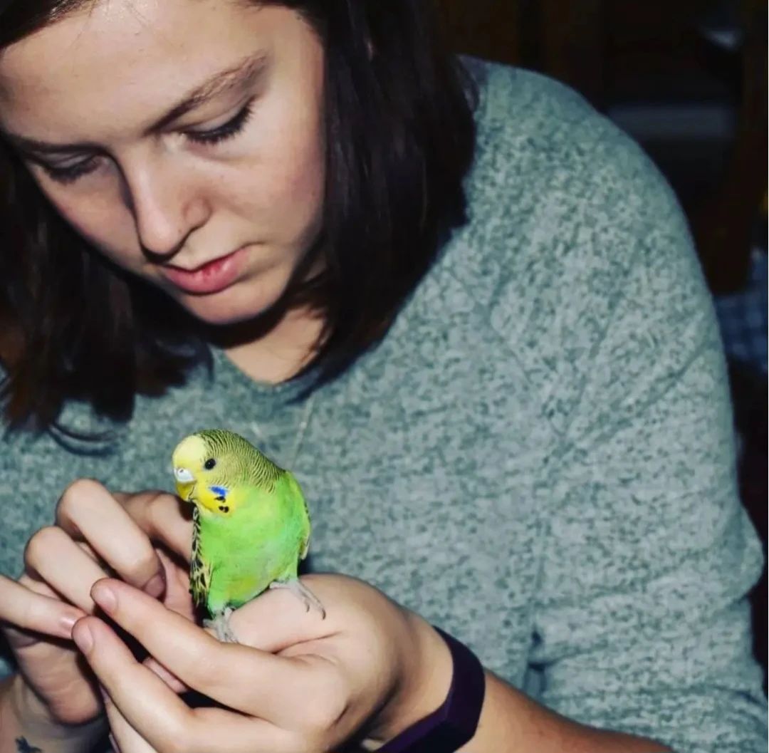 image-8