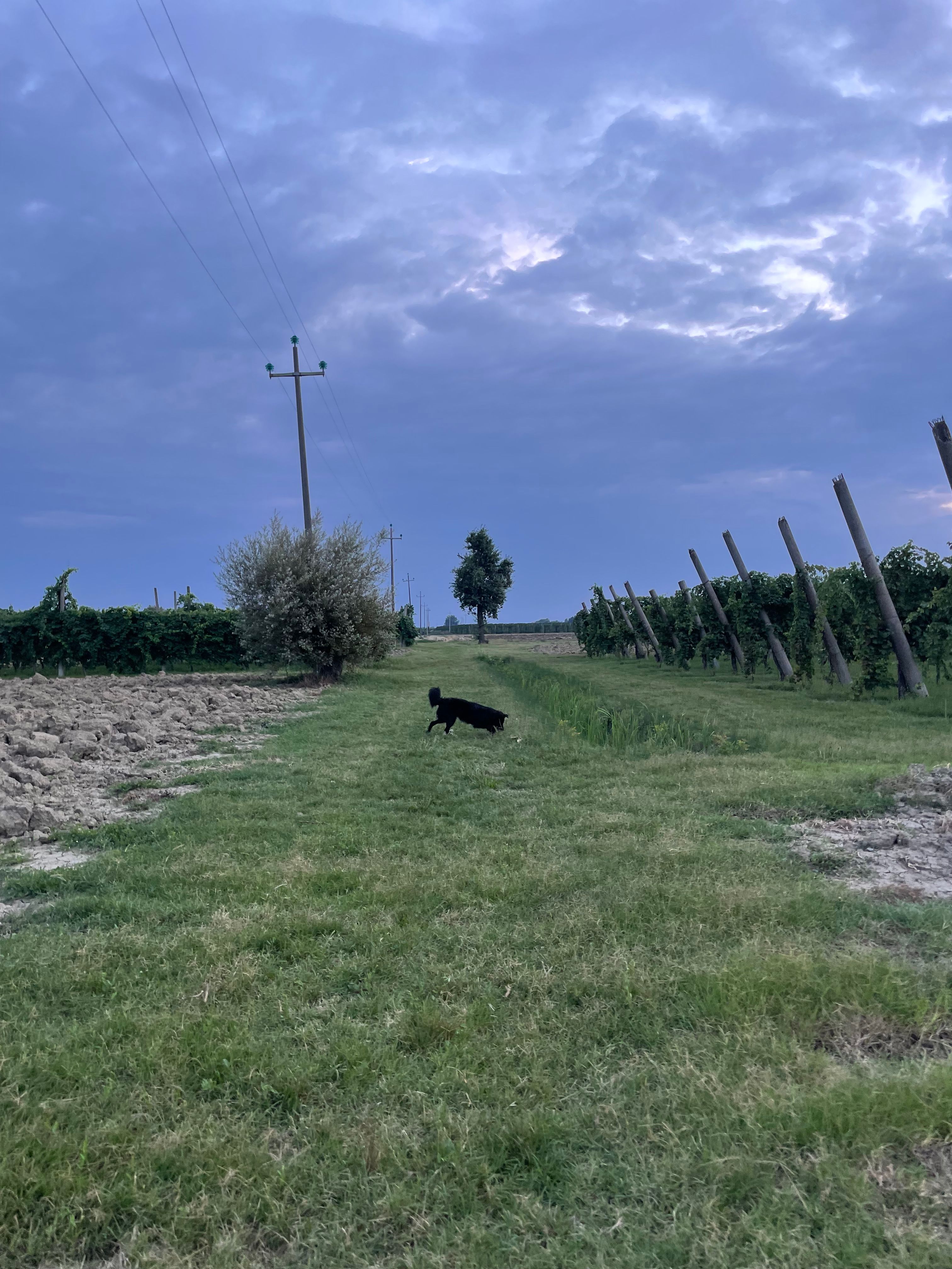 image-8