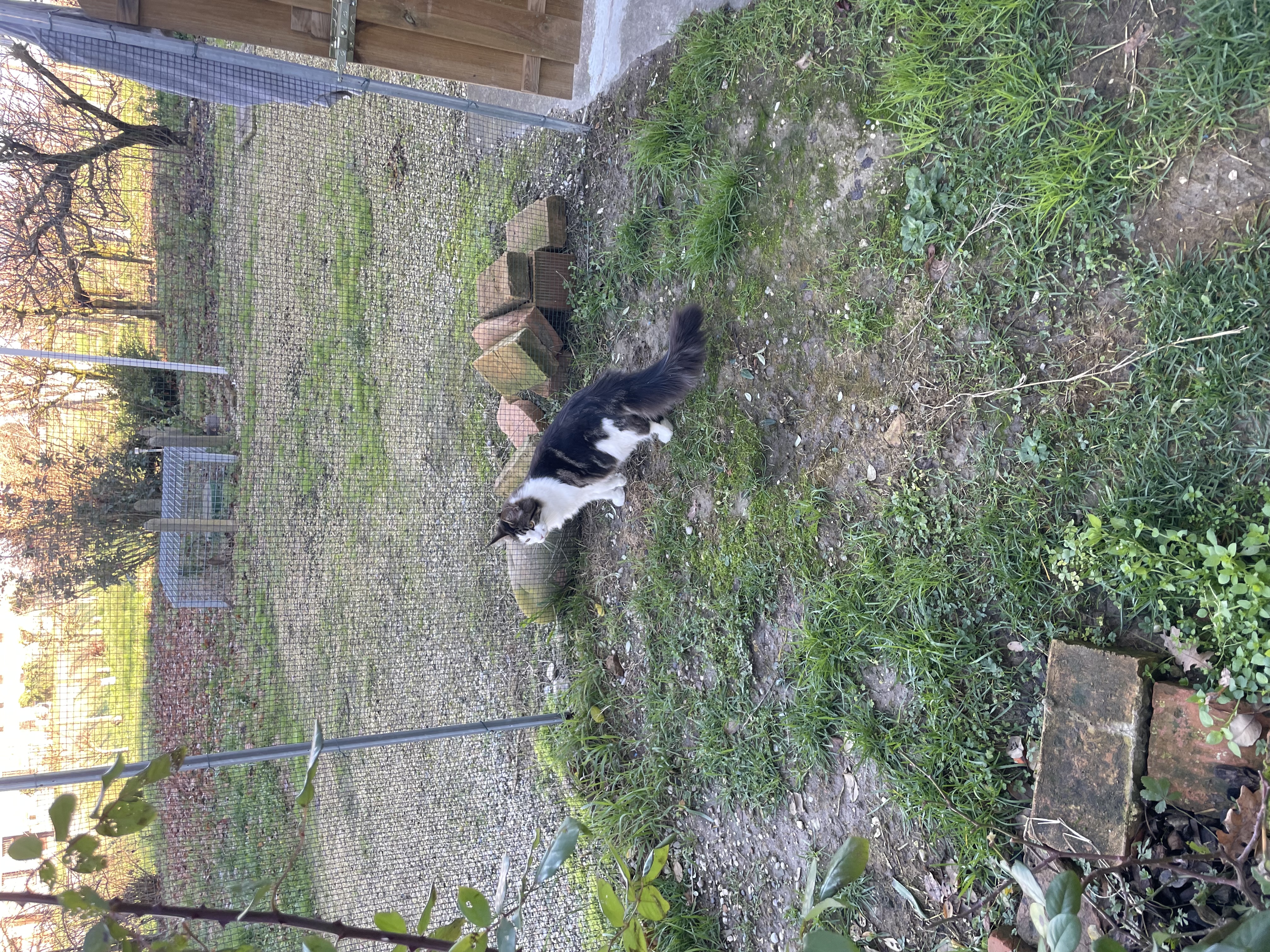 image-10