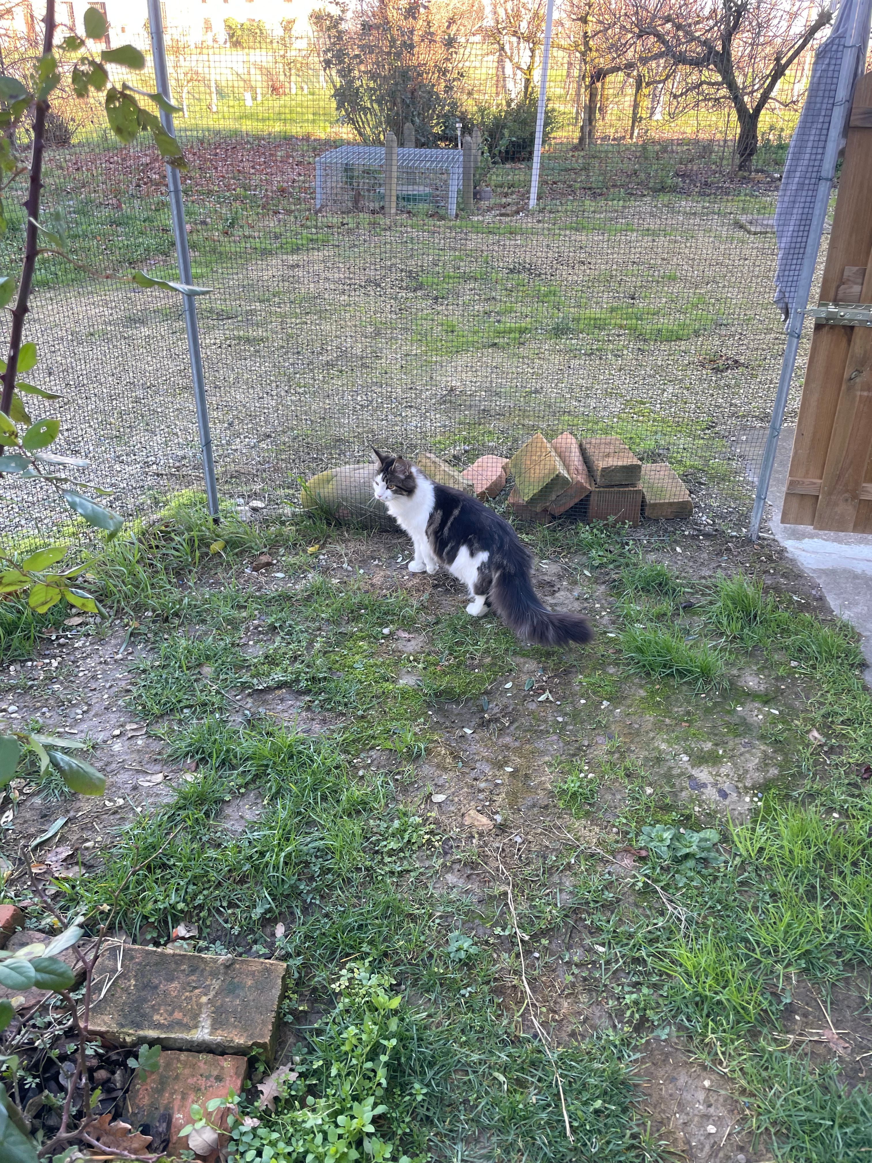 image-10