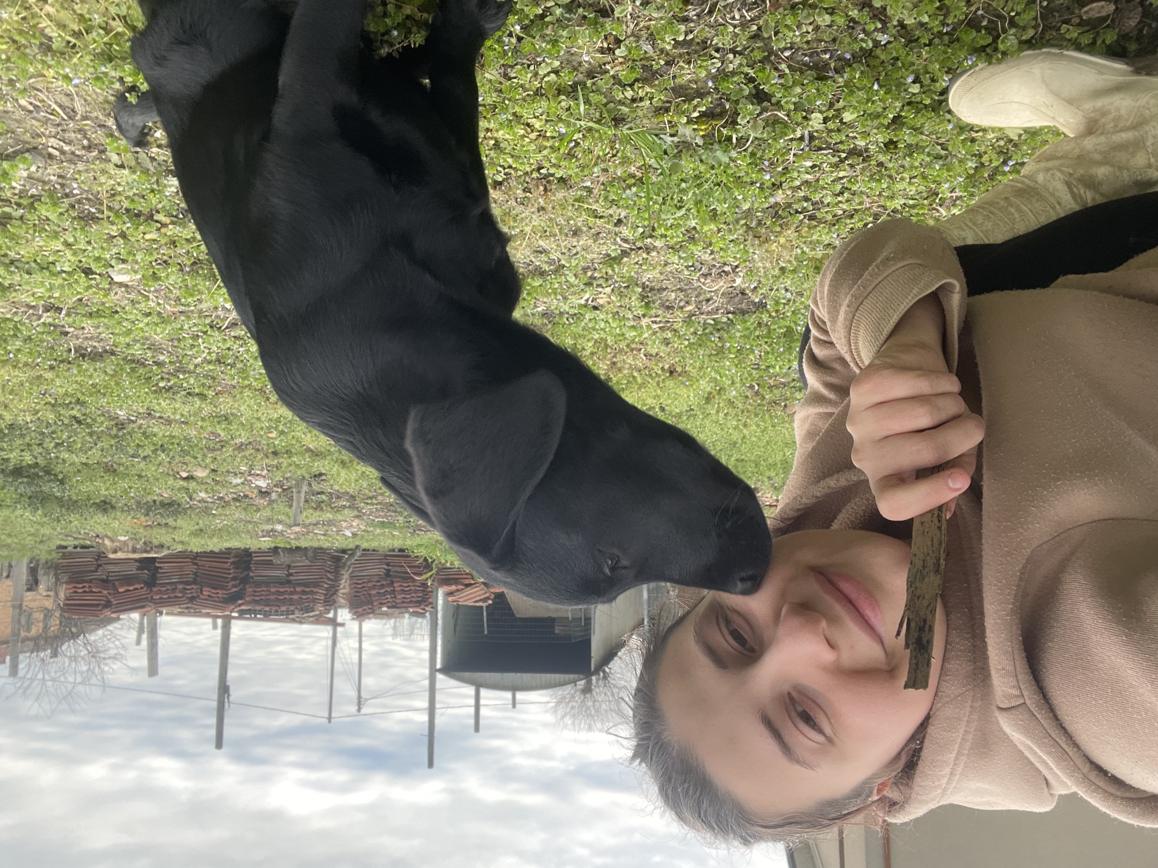 image-0