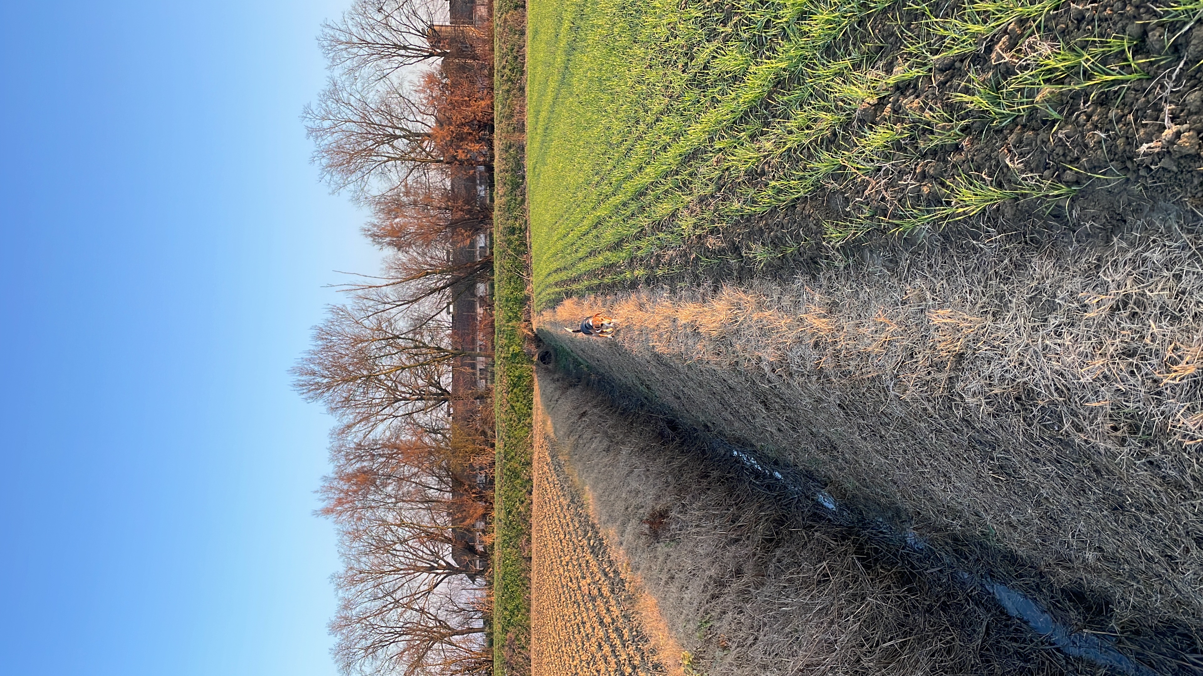 image-14