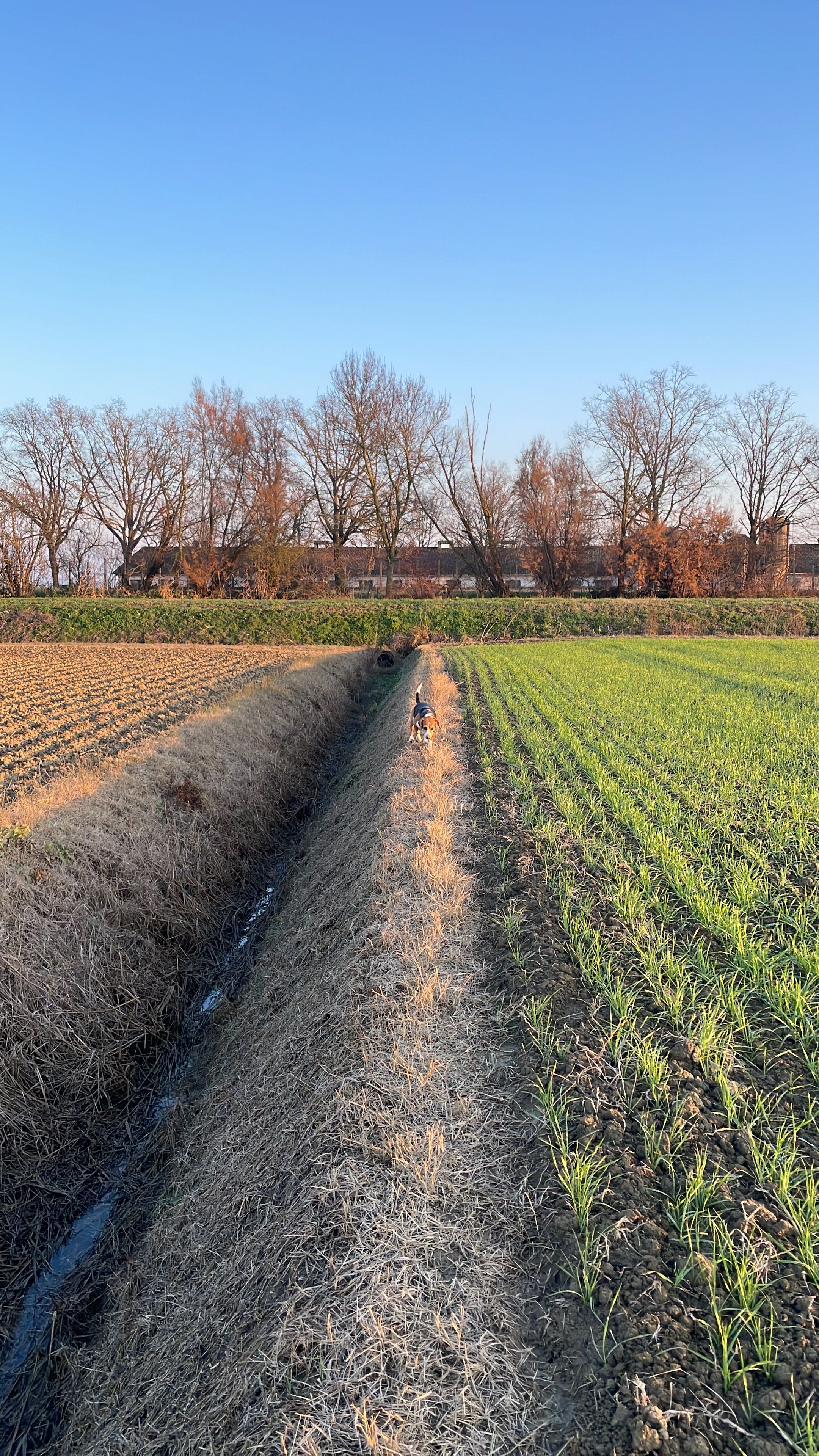 image-14