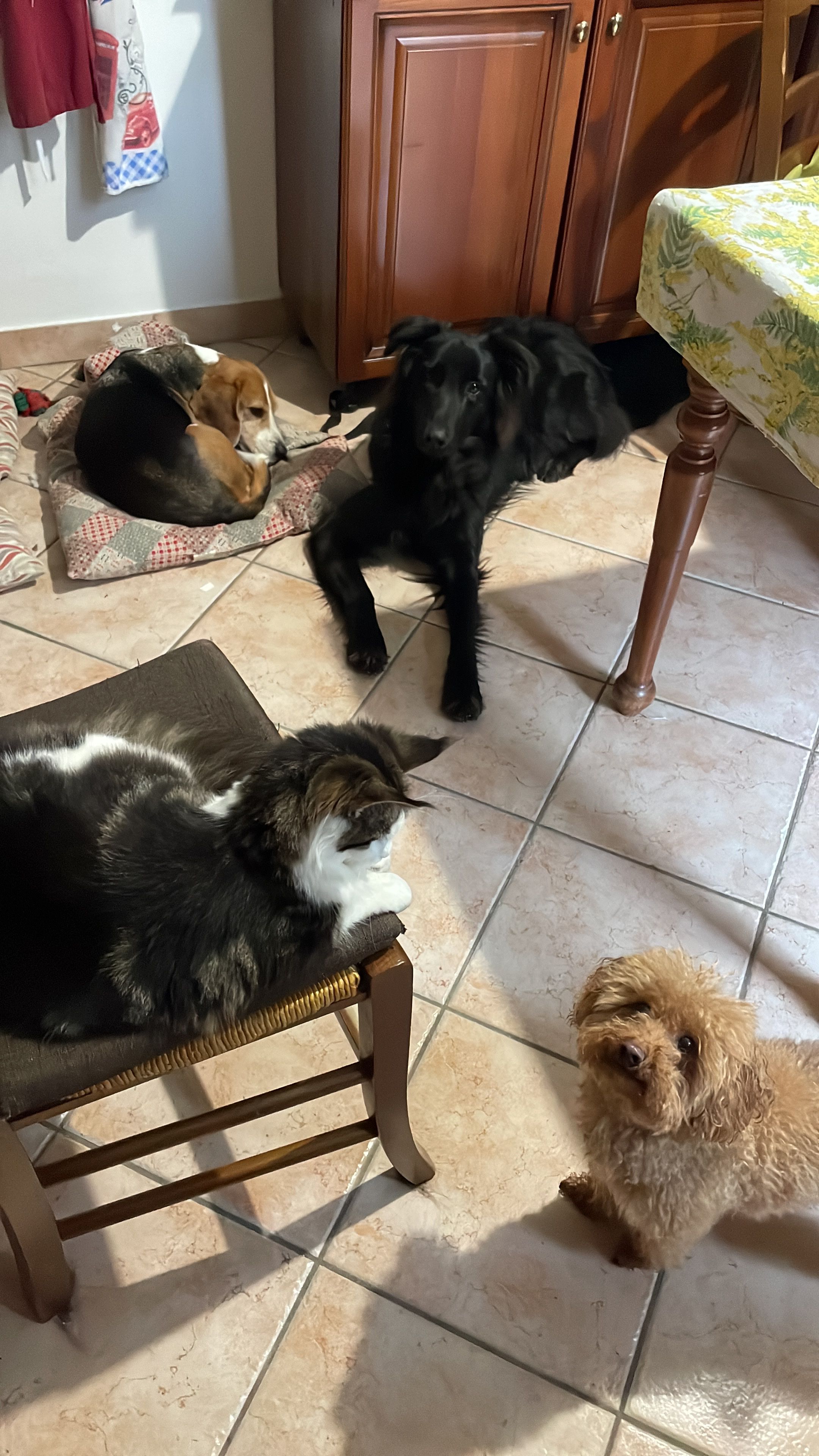 image-15