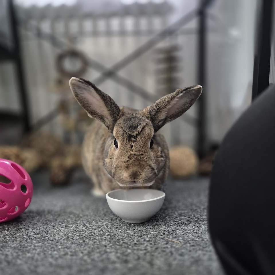 Barnaby 