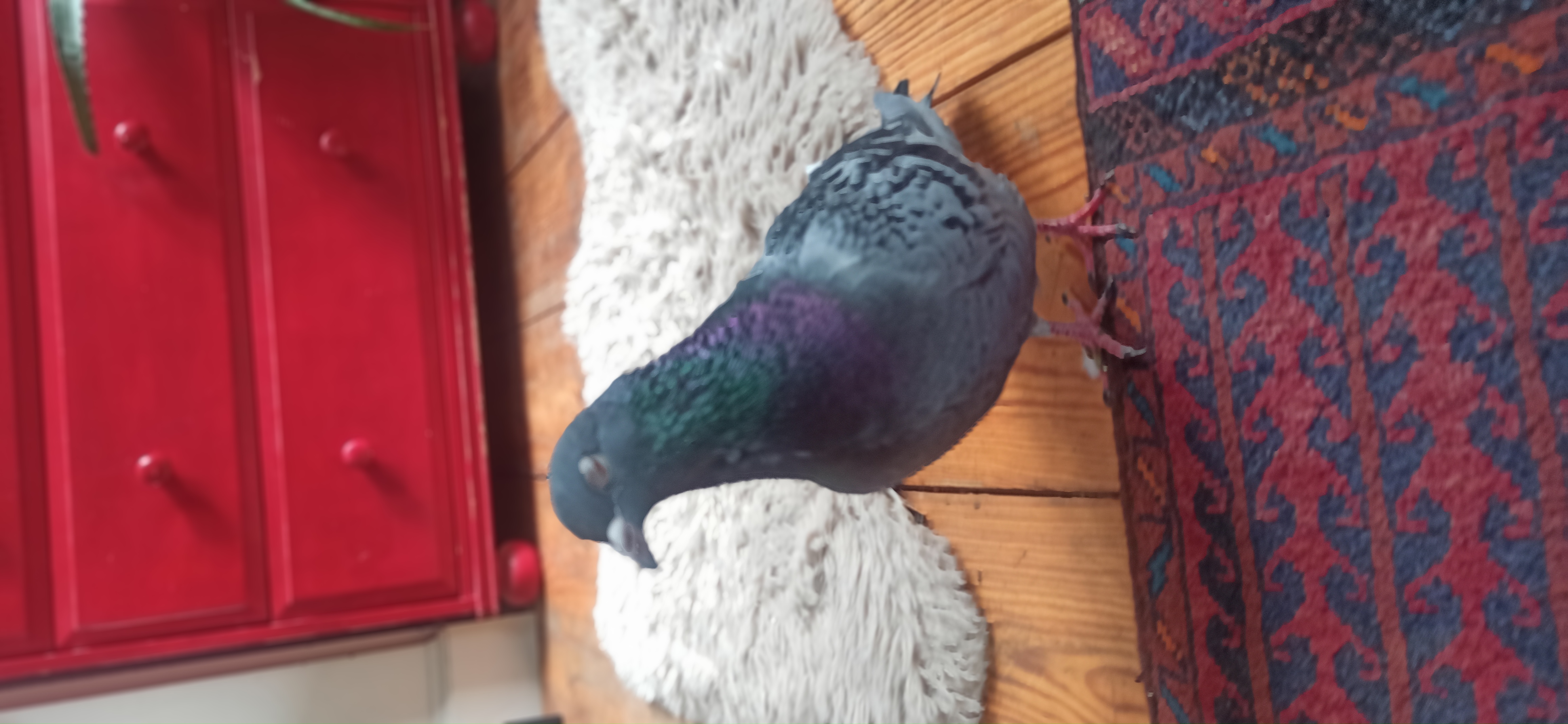 image-10