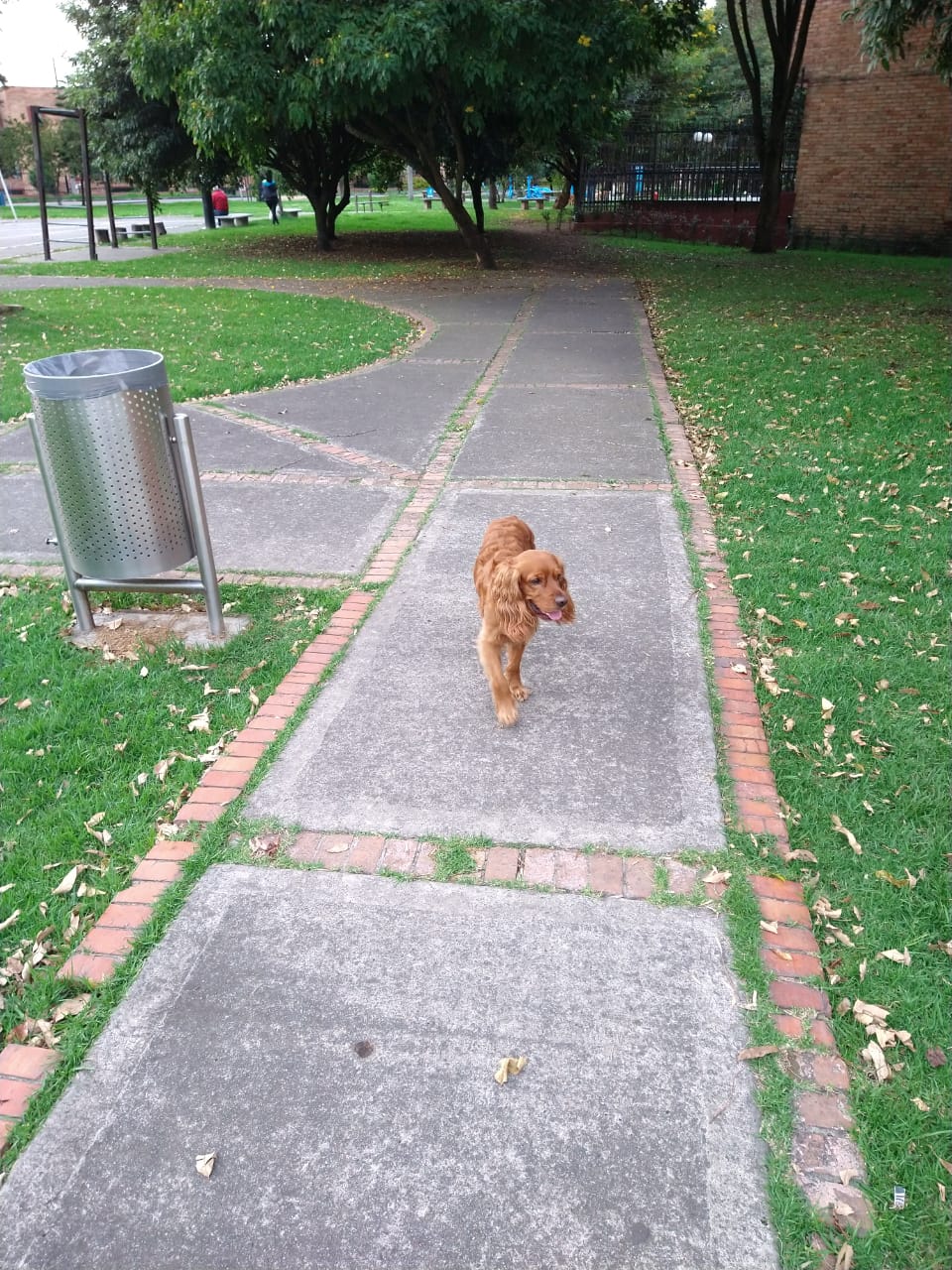 image-8