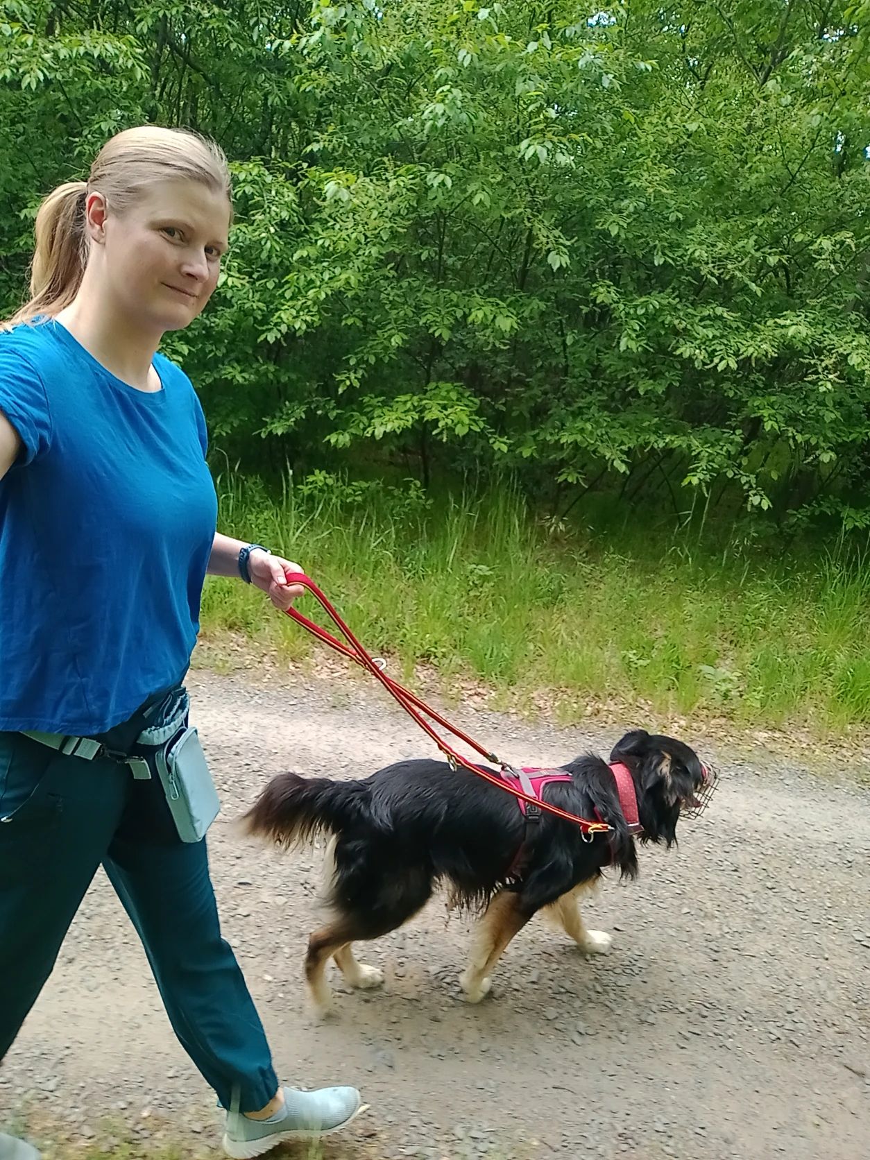 image-7