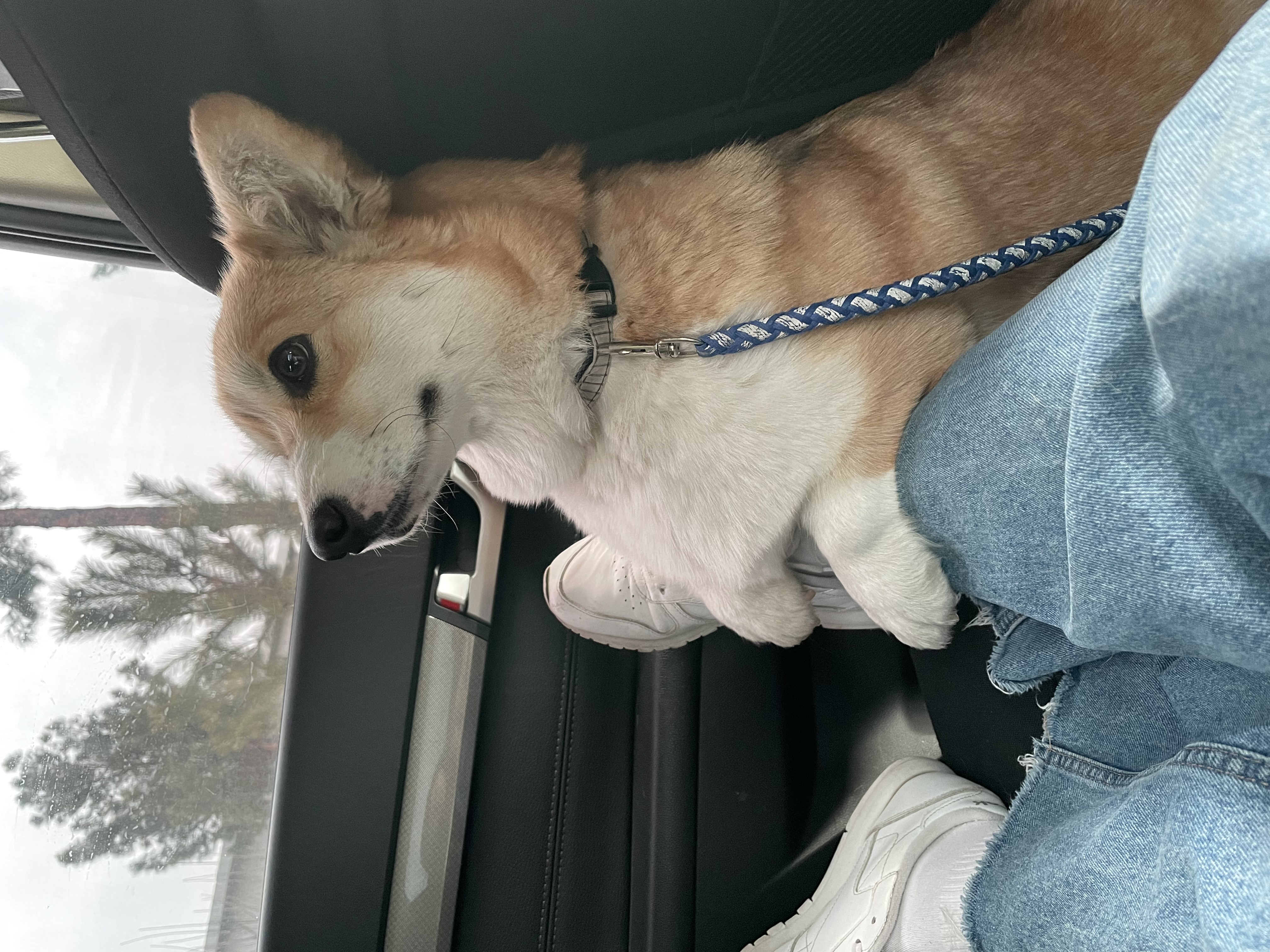 image-4