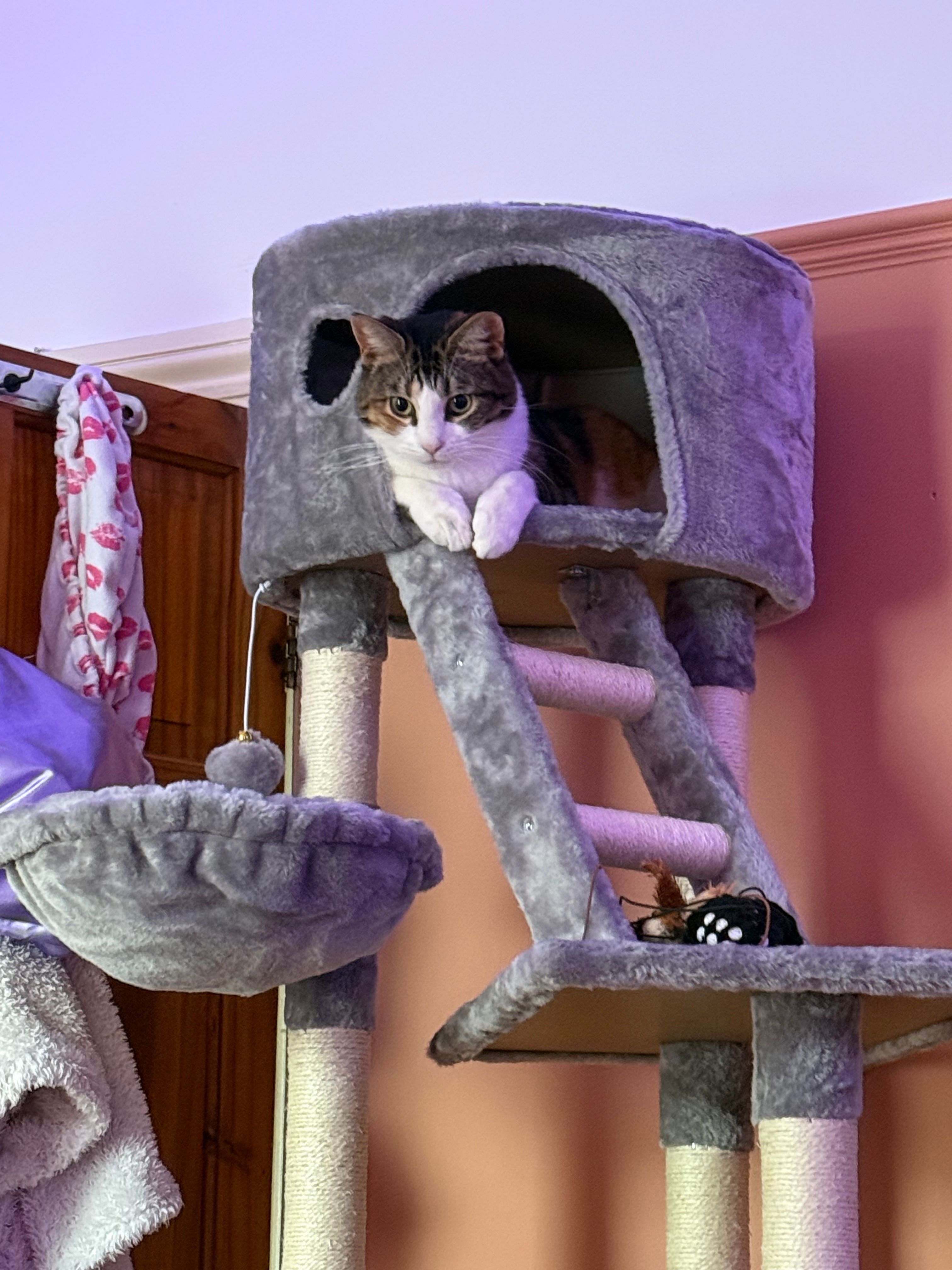 image-12