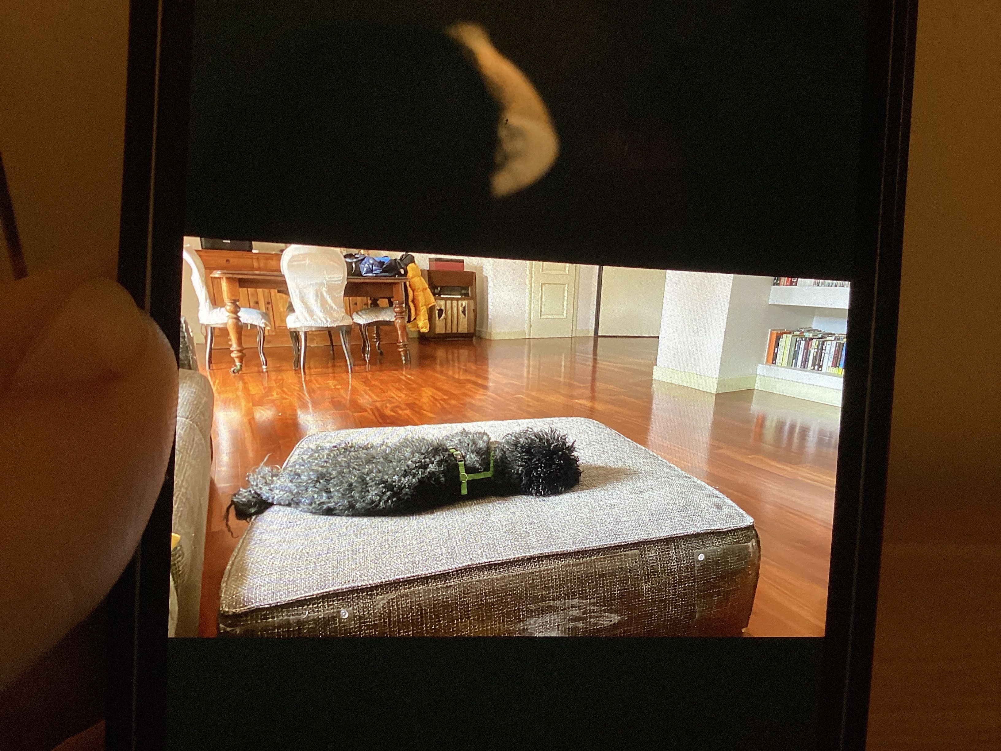 image-9