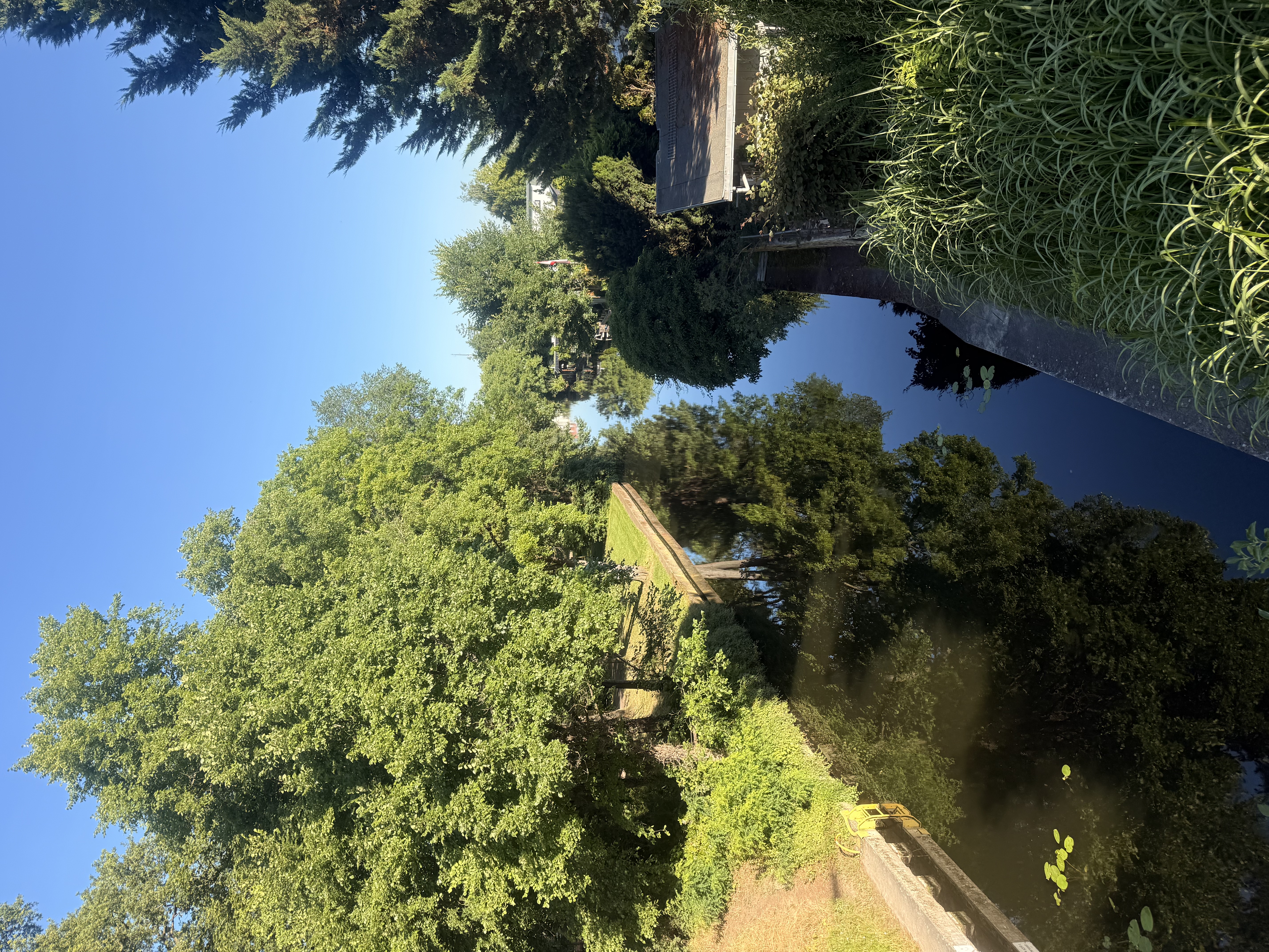 image-17