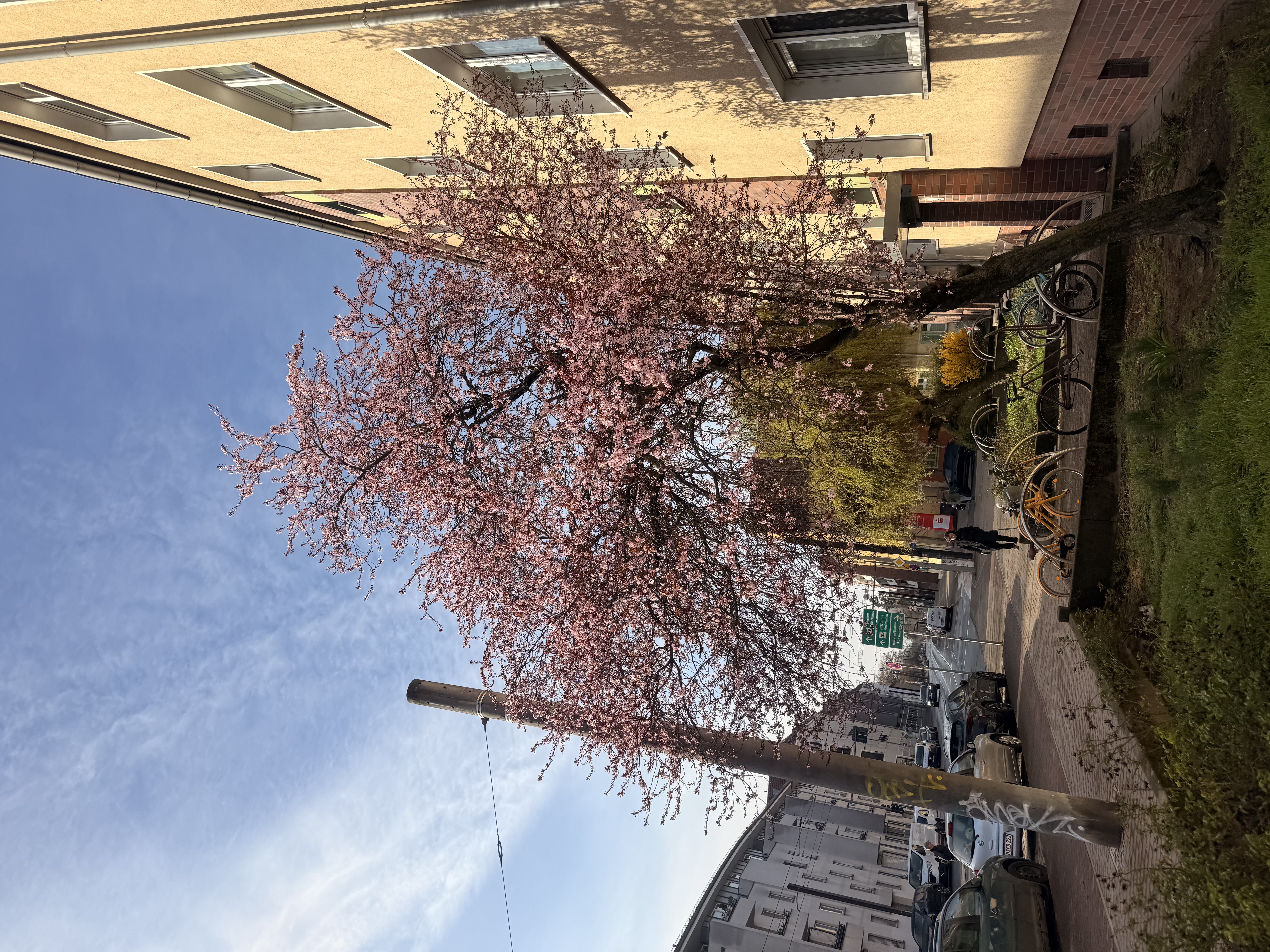 image-20