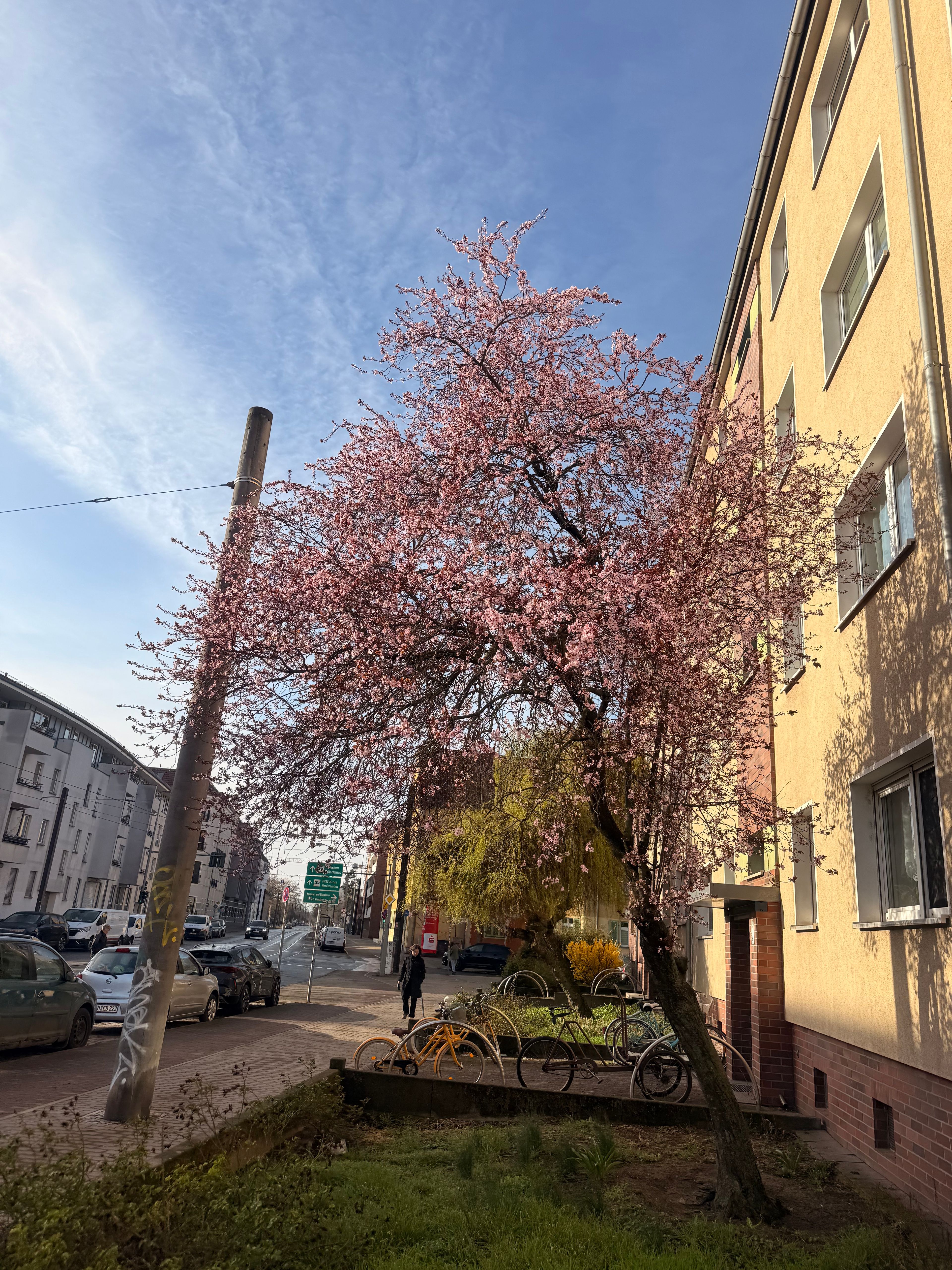 image-20